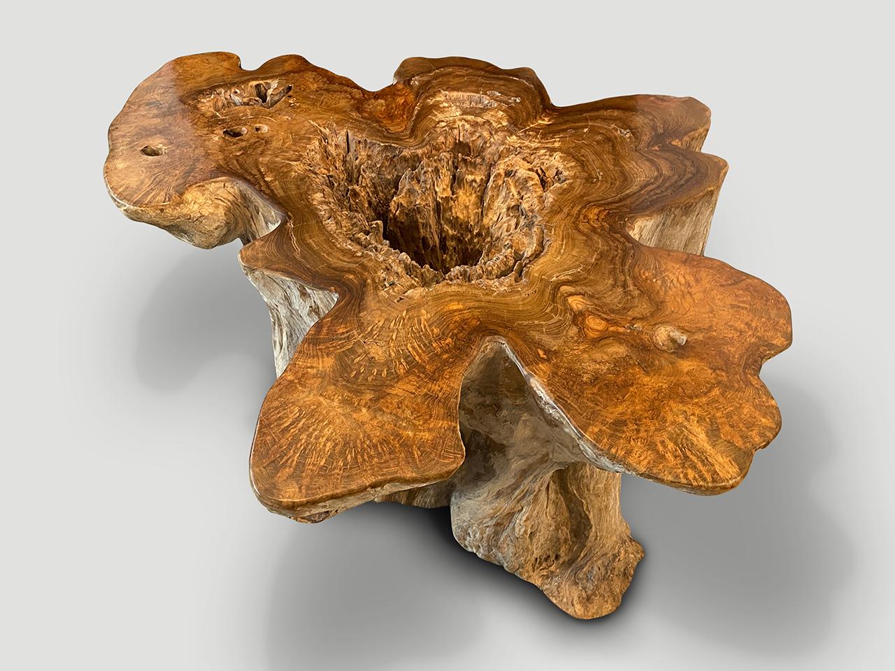 https://a.1stdibscdn.com/andrianna-shamaris-impressive-organic-teak-wood-coffee-table-for-sale-picture-4/f_10806/f_296356221658182494409/IMG_8155_master.jpeg