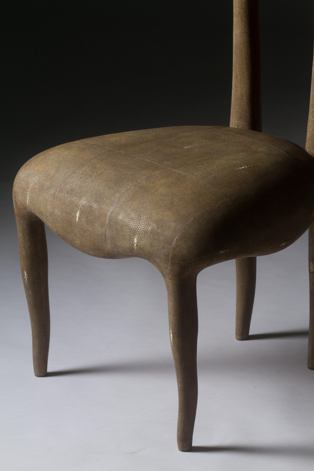 https://a.1stdibscdn.com/sylvie-chair-in-mink-shagreen-by-r-y-augousti-for-sale-picture-2/f_45491/f_168808211573749394311/IMG_8534_master.jpg