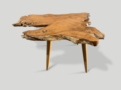 https://a.1stdibscdn.com/andrianna-shamaris-mid-century-style-live-edge-coffee-table-or-side-table-for-sale-picture-2/f_10806/f_495325021775317249533/IMG_8820_master.jpeg