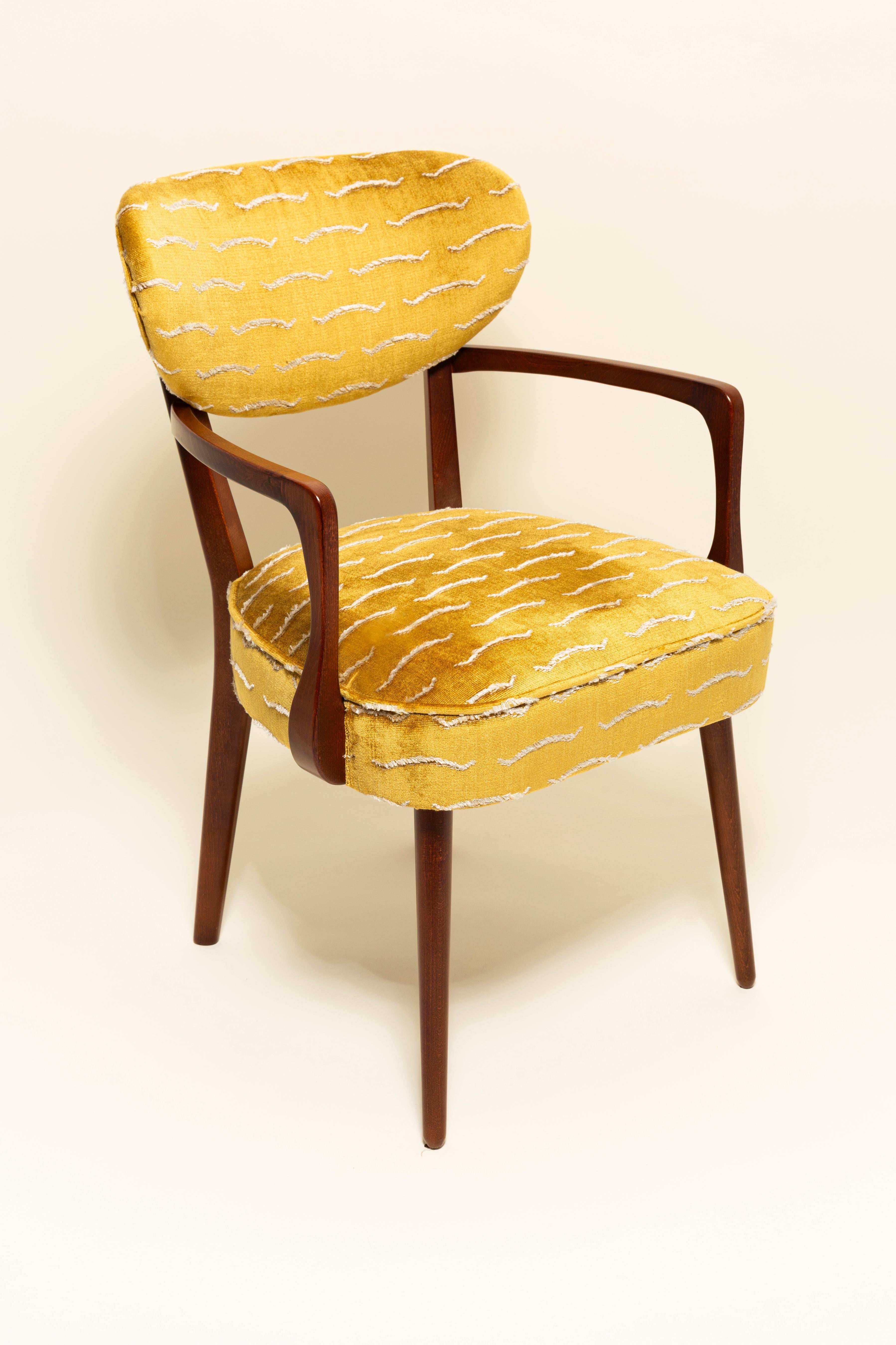 https://a.1stdibscdn.com/set-of-eight-nest-dining-chairs-by-vintola-studio-yellow-velvet-dedar-2026-for-sale-picture-4/f_34023/f_494376821774873714174/IQ3A5330_master.jpg