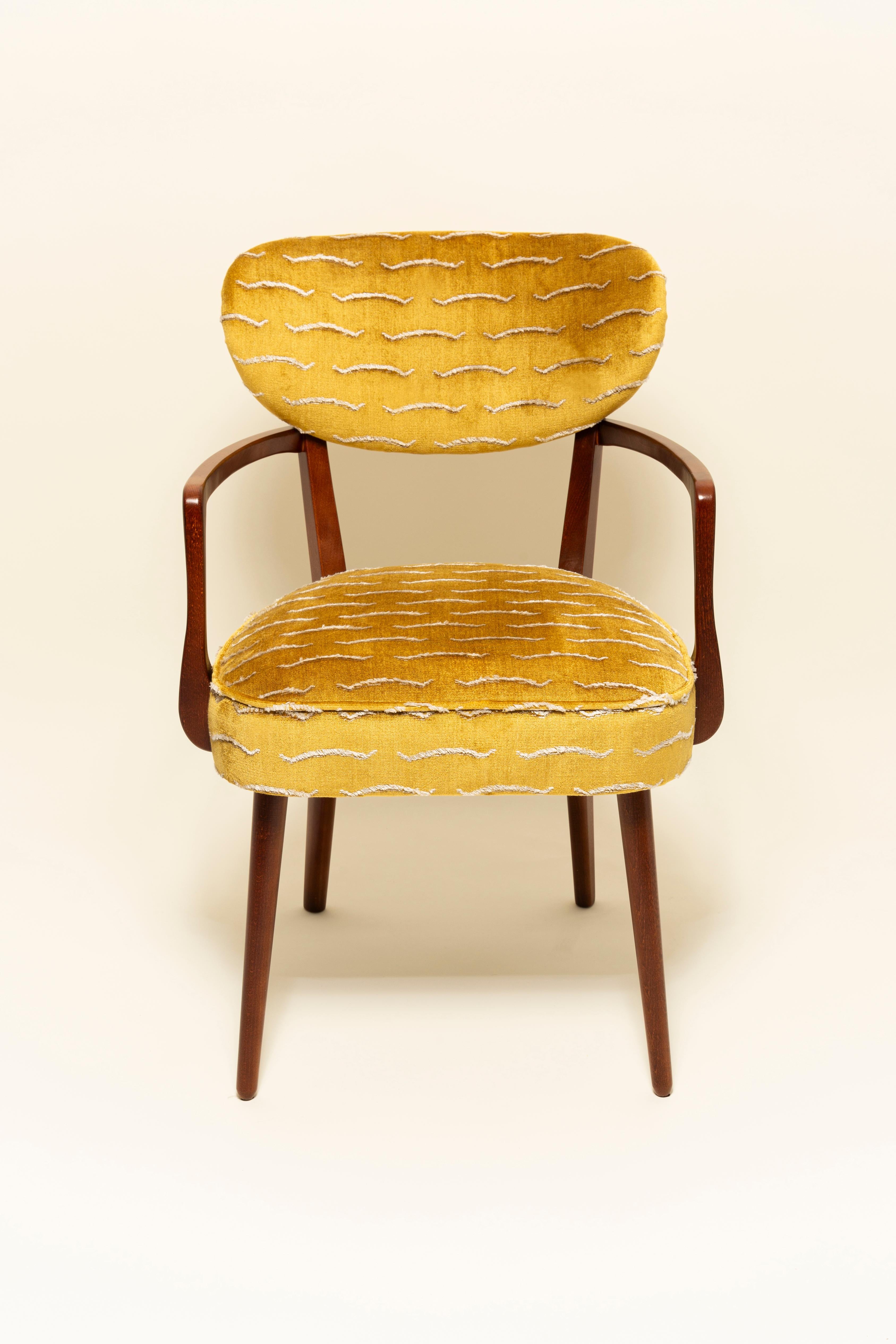 https://a.1stdibscdn.com/set-of-eight-nest-dining-chairs-by-vintola-studio-yellow-velvet-dedar-2026-for-sale-picture-5/f_34023/f_494376821774873714646/IQ3A5331_master.jpg