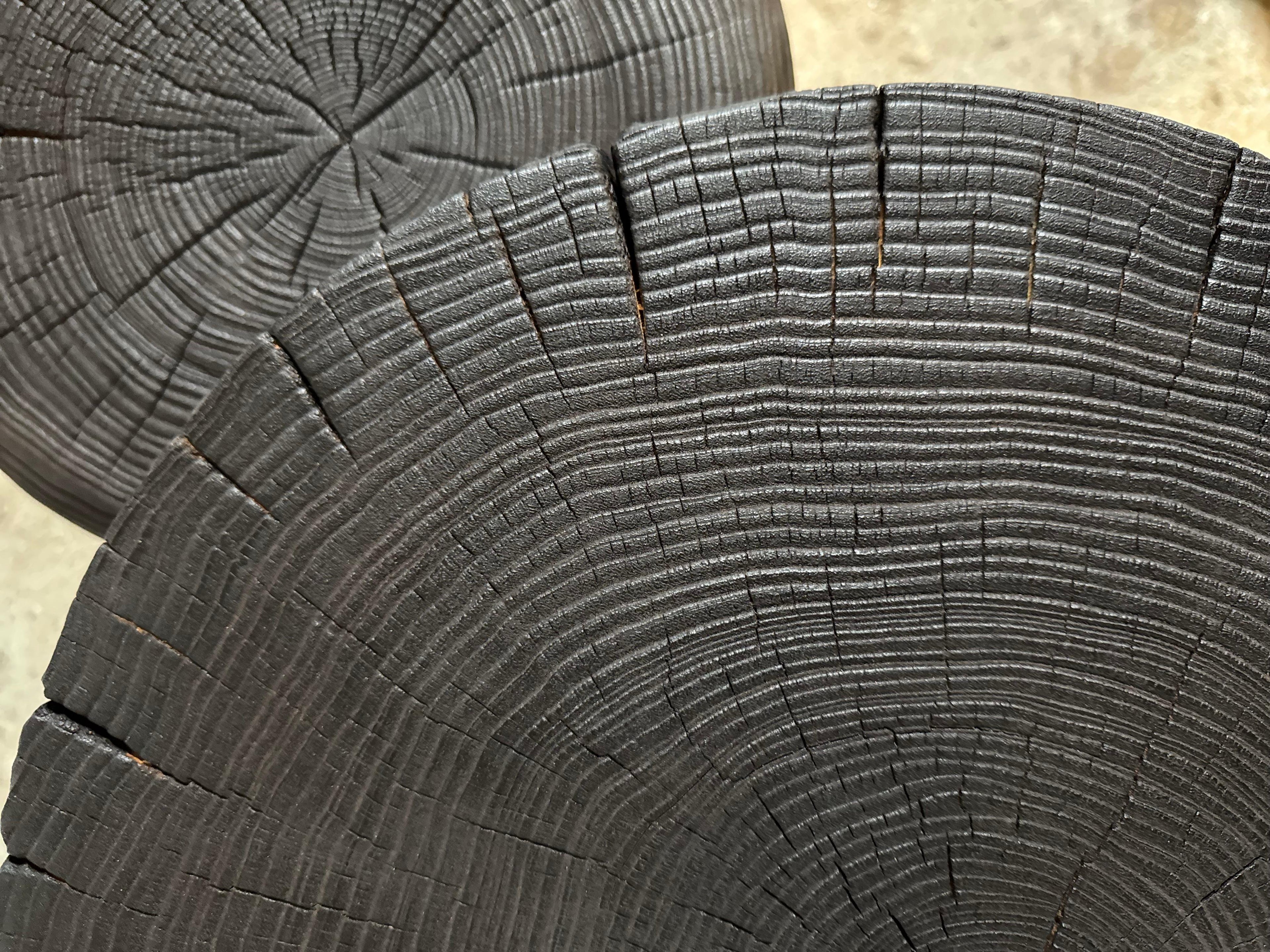 https://a.1stdibscdn.com/brutalist-organic-coffee-table-set-with-burned-acacia-tops-and-solid-walnut-base-for-sale-picture-3/f_99712/f_475423221763230444600/Image_20251114_2138_59_311_master.jpeg