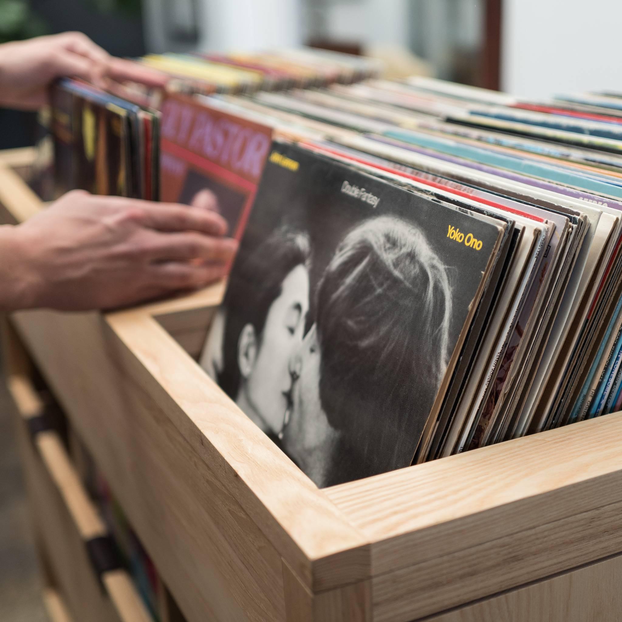 https://a.1stdibscdn.com/dovetail-4-x-25-vinyl-storage-cabinet-solid-natural-walnut-with-flip-bins-for-sale-picture-6/f_27523/f_158922321566505431546/L1120208_master.jpg