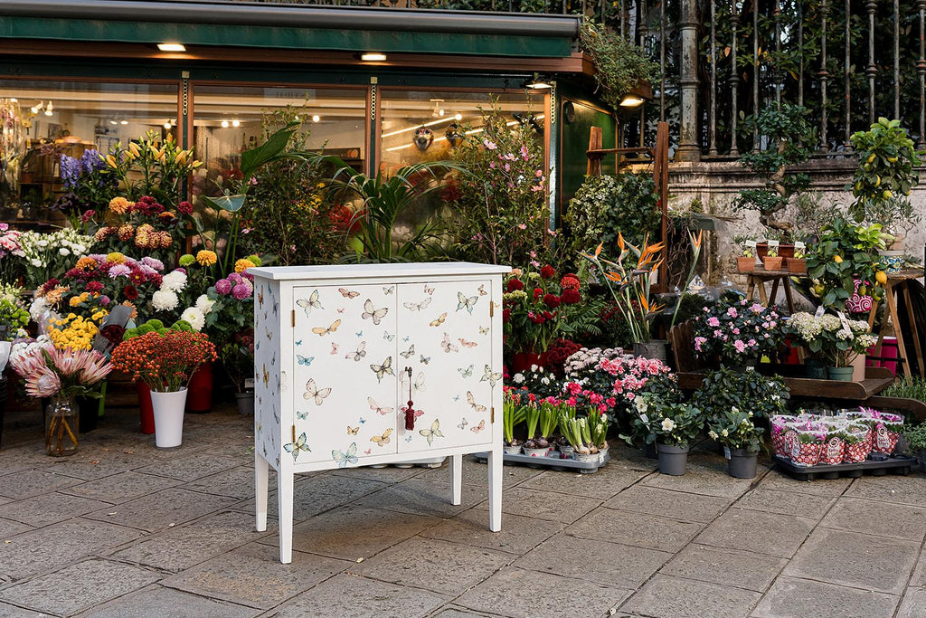 https://a.1stdibscdn.com/18th-century-hand-painted-venetian-style-barberini-cabinet-with-butterflies-for-sale-picture-3/f_57702/f_477327321764248107817/MAU09312_master.jpg
