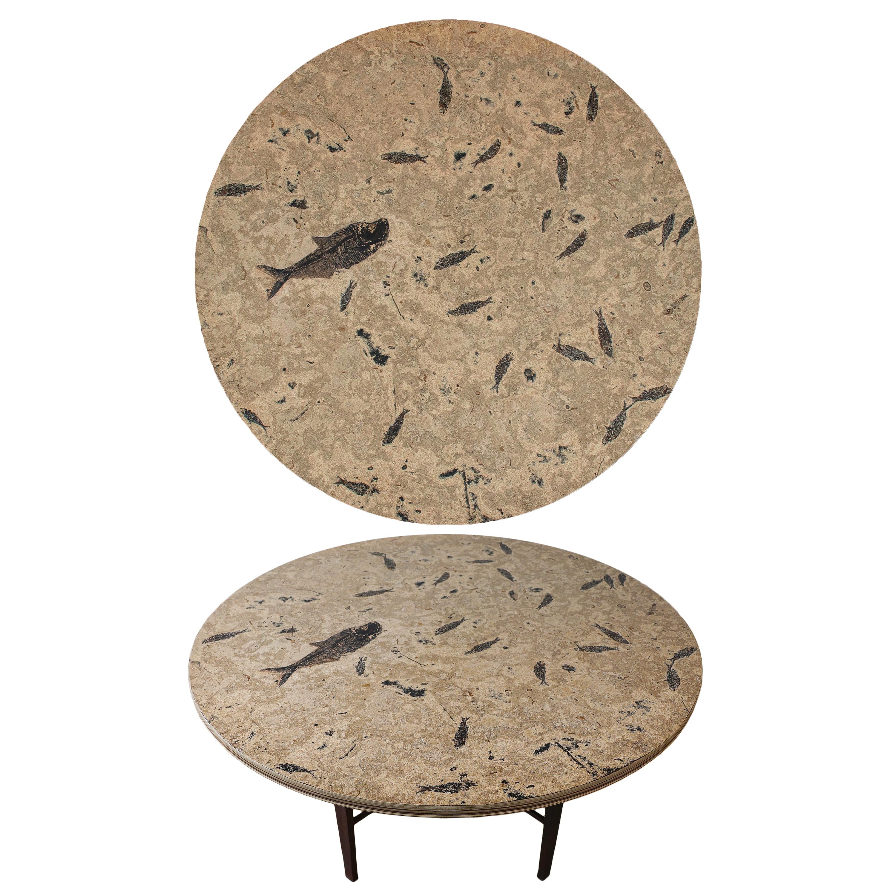 https://a.1stdibscdn.com/50-million-year-old-fossil-fish-dining-table-green-river-formation-wyoming-for-sale-picture-8/f_58602/f_418587021728943531515/MD201028064t_Diplomystus_Knightia_Fossil_Fish_Art_Table_1a_master.jpg