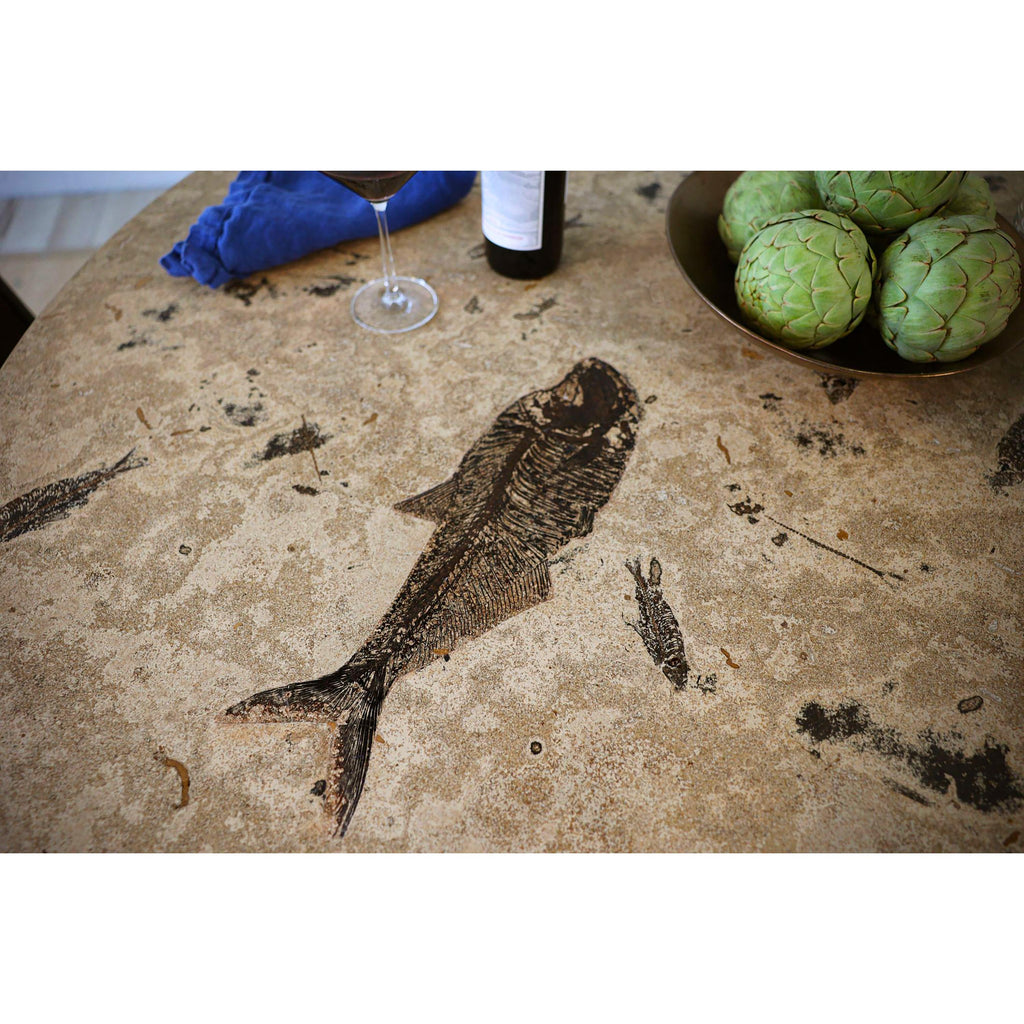 https://a.1stdibscdn.com/50-million-year-old-fossil-fish-dining-table-green-river-formation-wyoming-for-sale-picture-3/f_58602/f_418587021728684394077/MD201028064t_Diplomystus_Knightia_Fossil_Fish_Art_Table_3_master.jpg