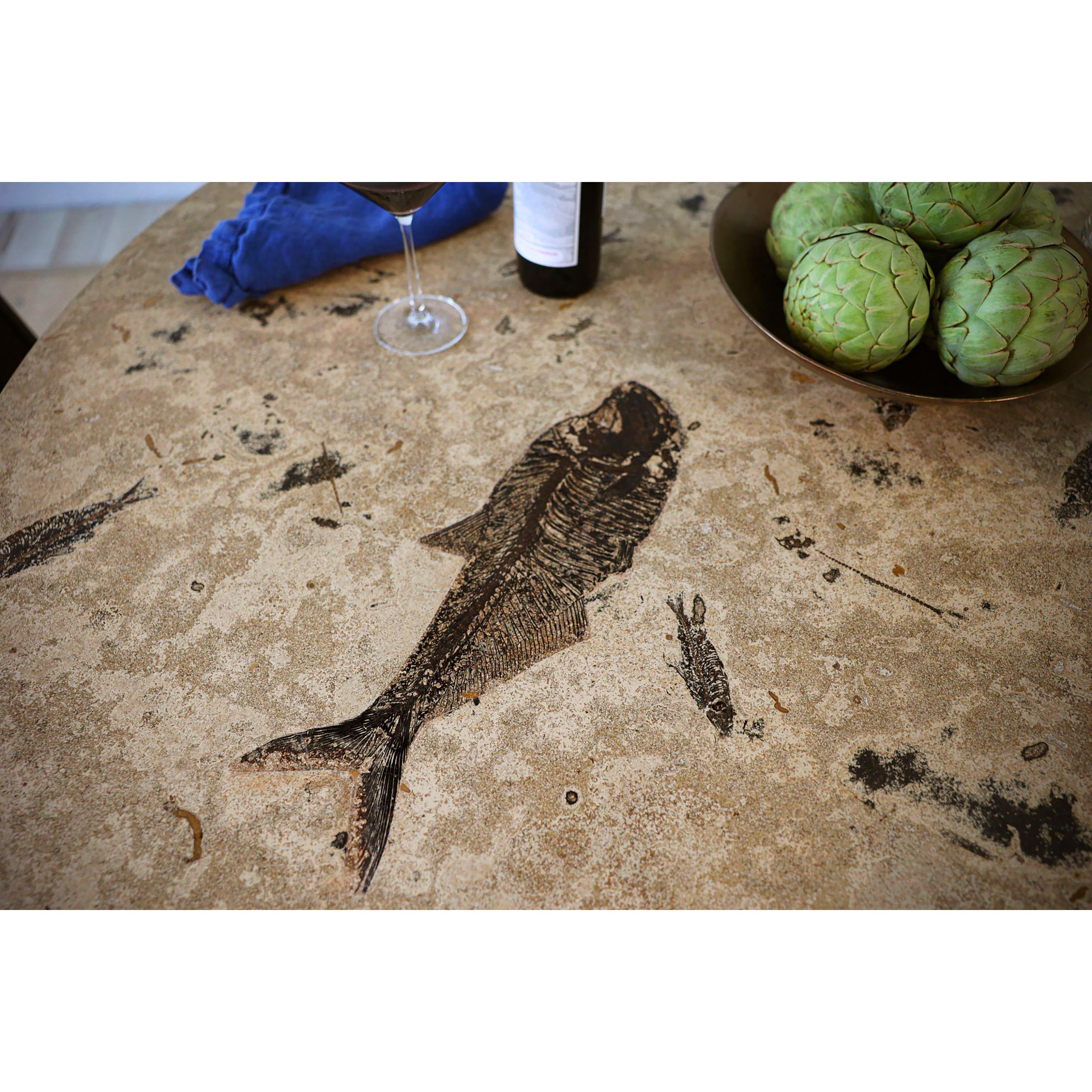 https://a.1stdibscdn.com/50-million-year-old-fossil-fish-dining-table-green-river-formation-wyoming-for-sale-picture-3/f_58602/f_418587021728684394077/MD201028064t_Diplomystus_Knightia_Fossil_Fish_Art_Table_3_master.jpg