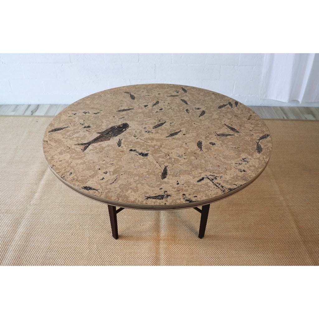 https://a.1stdibscdn.com/50-million-year-old-fossil-fish-dining-table-green-river-formation-wyoming-for-sale-picture-4/f_58602/f_418587021728937726998/MD201028064t_Diplomystus_Knightia_Fossil_Fish_Art_Table_8_master.jpg