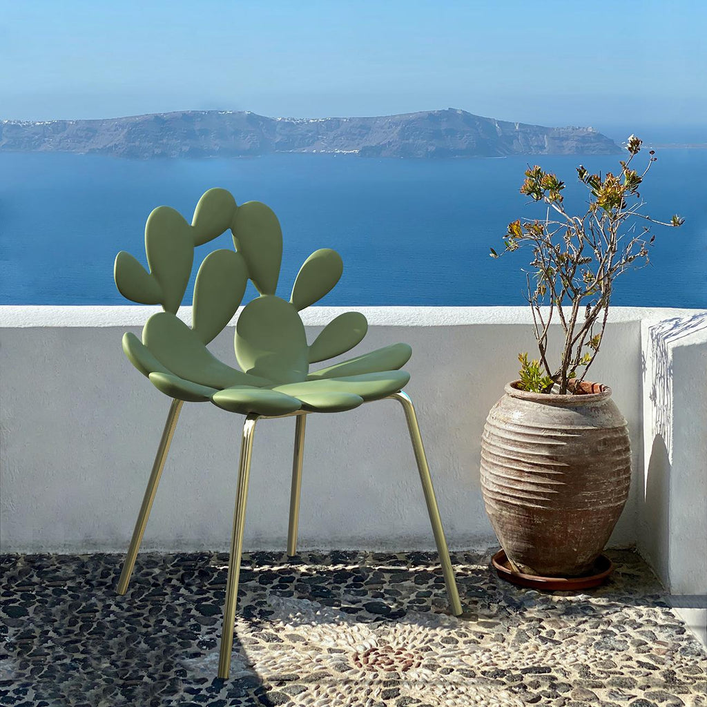 https://a.1stdibscdn.com/set-of-2-green-brass-cactus-chair-by-marcantonio-made-in-italy-for-sale-picture-4/f_49571/f_254512821632505350756/Marcantonio_art_design_51d_qeeboo_filicudi_chair_by_marcantonio_master.jpg