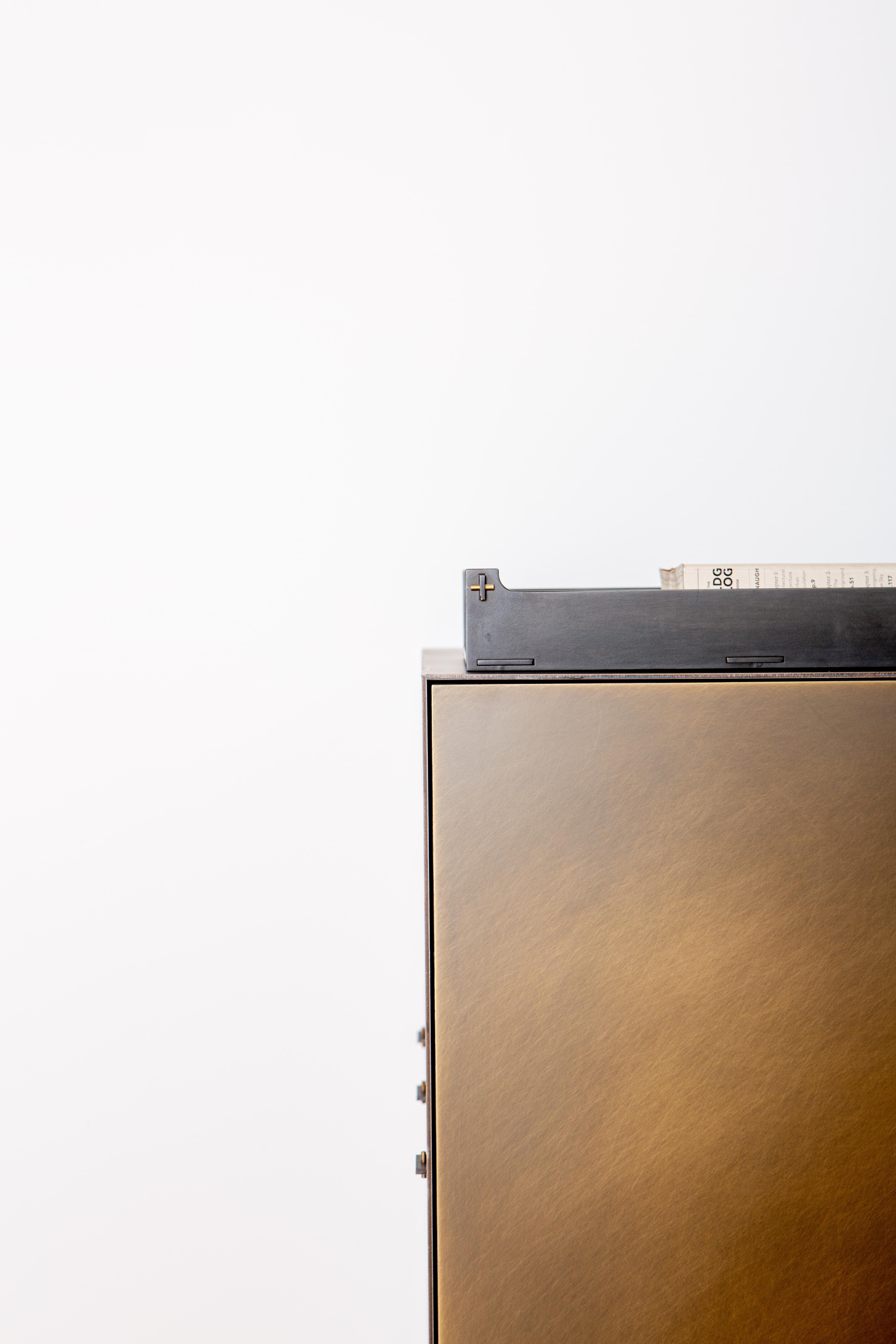 https://a.1stdibscdn.com/connect-credenza-cabinet-or-sideboard-customizable-in-steel-and-aged-brass-for-sale-picture-7/f_30783/f_192863521590788219016/May25_Plano_515_master.jpg