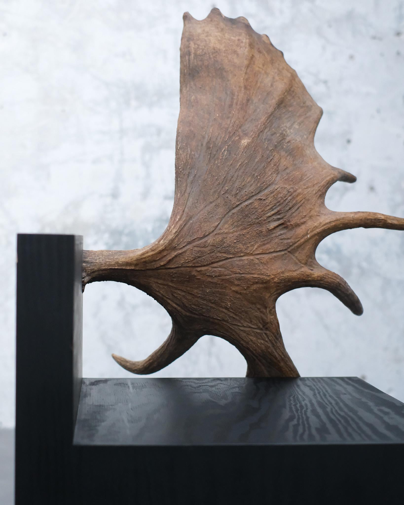 https://a.1stdibscdn.com/stag-chair-by-rick-owens-for-sale-picture-6/f_12192/f_434187021738339011967/OWENS_STAG_CHAIR_LEFT_11_master.jpg