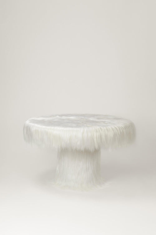 https://a.1stdibscdn.com/white-raw-table-with-furry-goatskin-and-nubuck-by-atelier-vf-for-sale-picture-2/f_70152/f_337760221681324215792/ROG_05_table_master.jpg