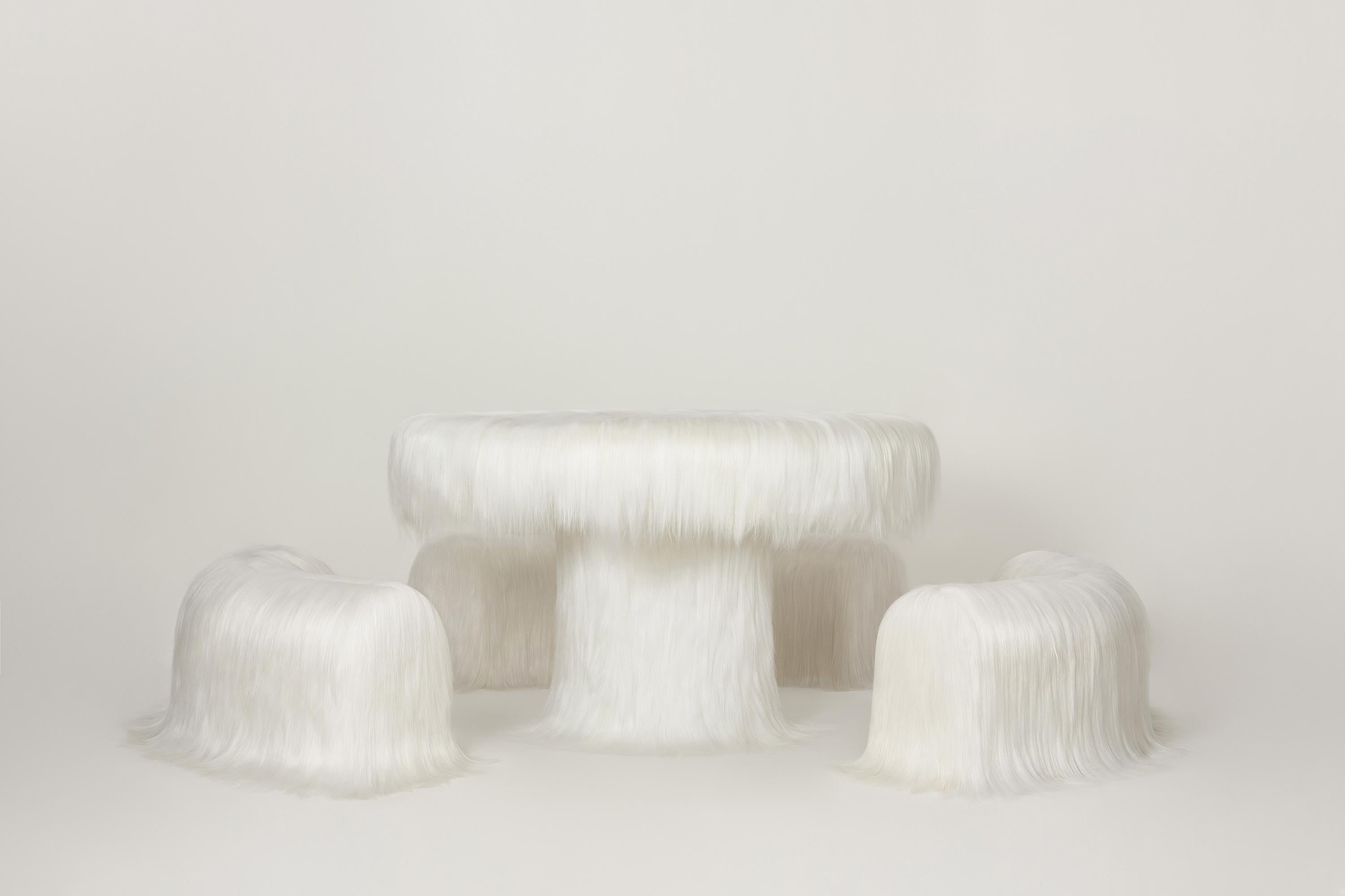 https://a.1stdibscdn.com/white-raw-table-with-furry-goatskin-and-nubuck-by-atelier-vf-for-sale-picture-3/f_70152/f_337760221681324216001/ROG_06_tableandbench_master.jpg