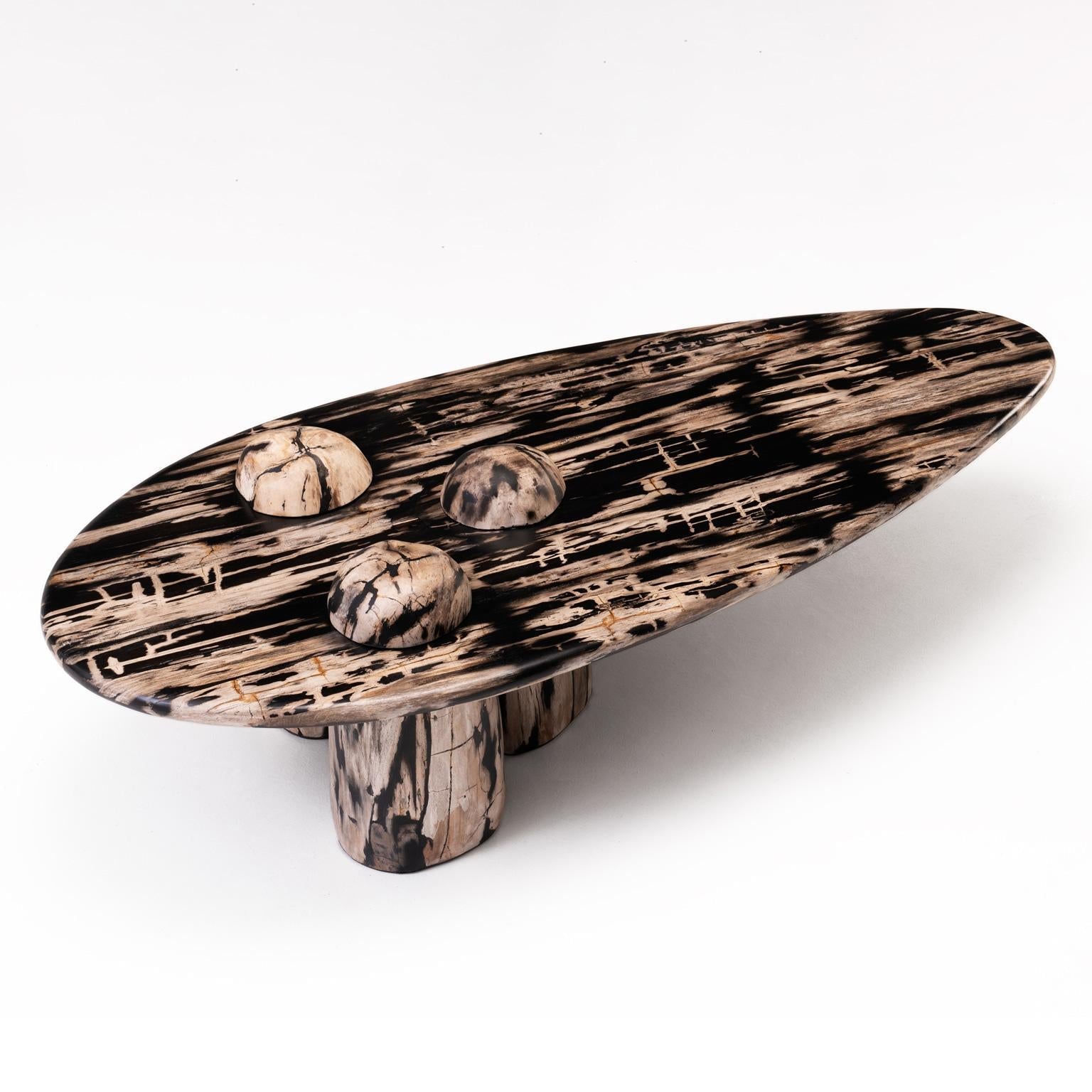 https://a.1stdibscdn.com/sculptural-petrified-wood-coffee-table-rocky-montage-by-odditi-for-sale-picture-2/f_90082/f_352854821689672600444/Rocky_Montage_2_side_master.jpg