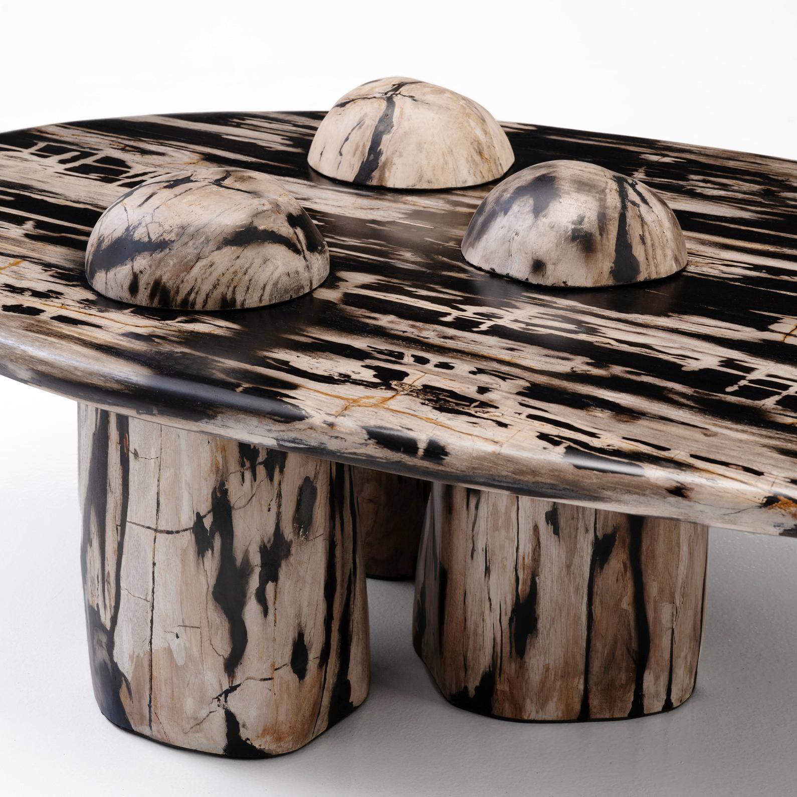 https://a.1stdibscdn.com/rocky-montage-o-sculptural-petrified-wood-coffee-table-by-odditi-for-sale-picture-6/f_90082/f_352854821692856162332/Rocky_Montage_3_detail_master.jpg
