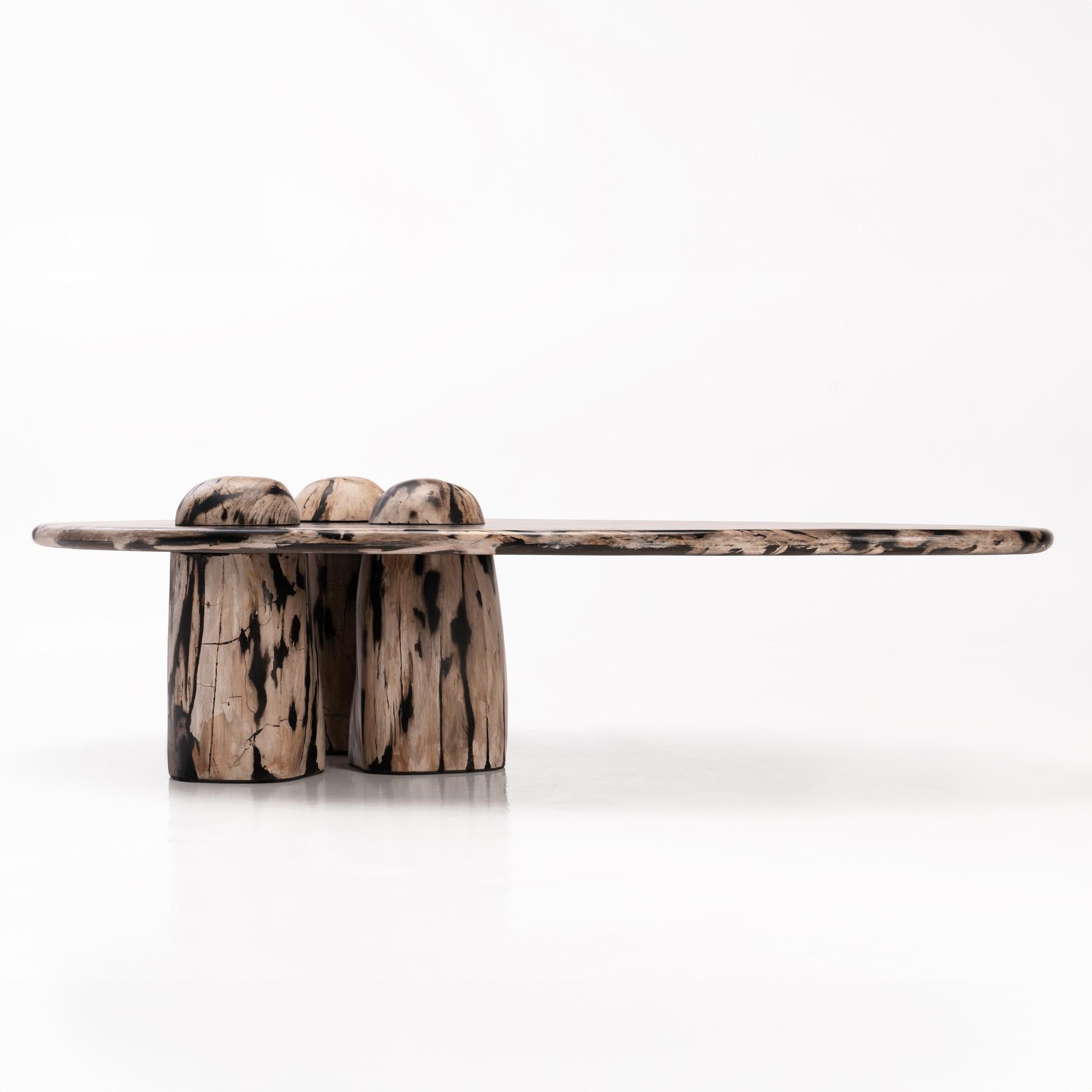 https://a.1stdibscdn.com/sculptural-petrified-wood-coffee-table-rocky-montage-by-odditi-for-sale-picture-3/f_90082/f_352854821689672601121/Rocky_Montage_5_SIDE_master.jpg