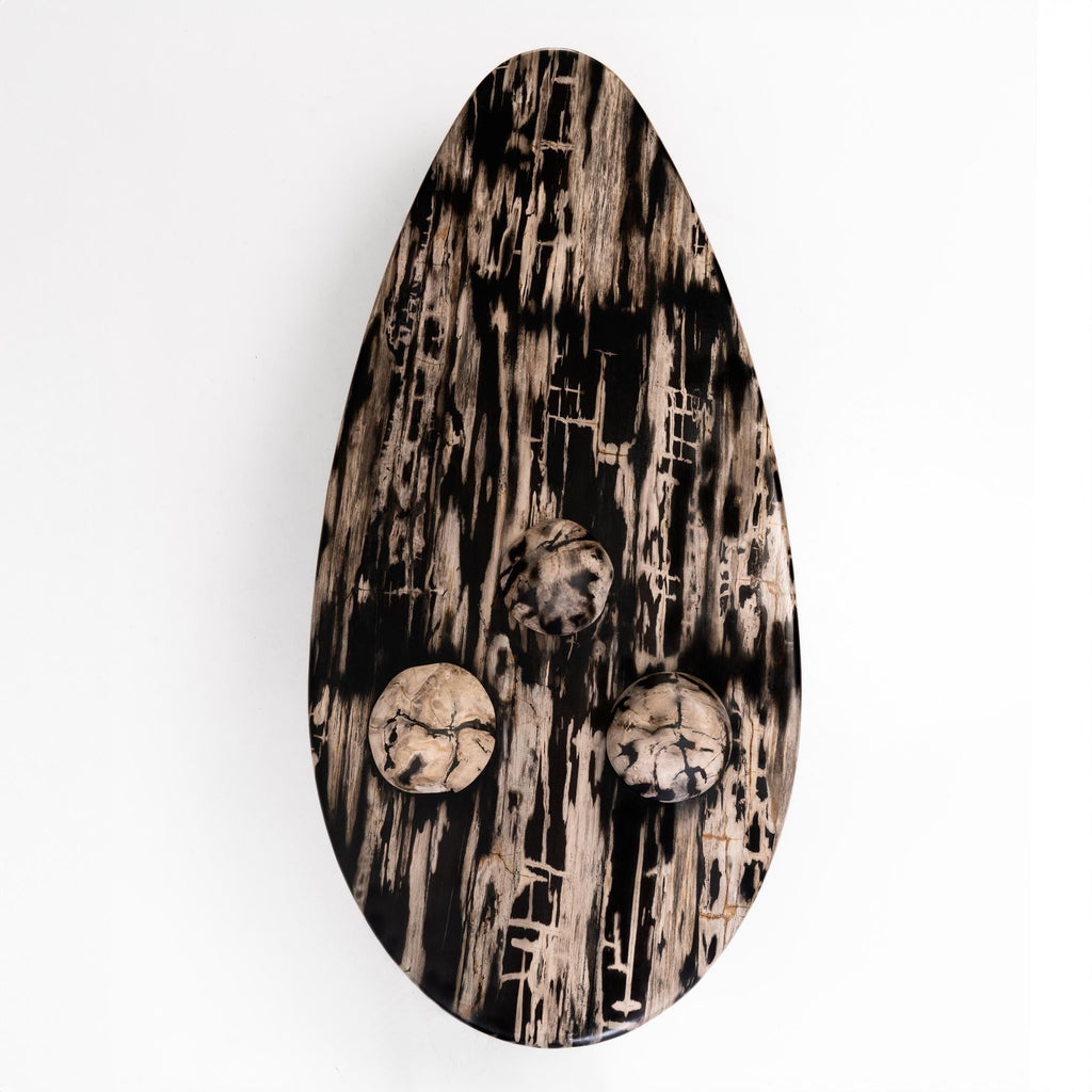 https://a.1stdibscdn.com/sculptural-petrified-wood-coffee-table-rocky-montage-by-odditi-for-sale-picture-4/f_90082/f_352854821689672600476/Rocky_Montage_5_Top_master.jpg