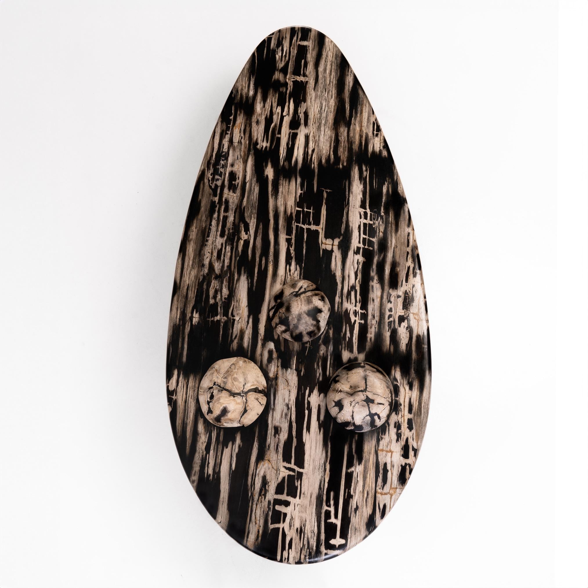 https://a.1stdibscdn.com/sculptural-petrified-wood-coffee-table-rocky-montage-by-odditi-for-sale-picture-4/f_90082/f_352854821689672600476/Rocky_Montage_5_Top_master.jpg