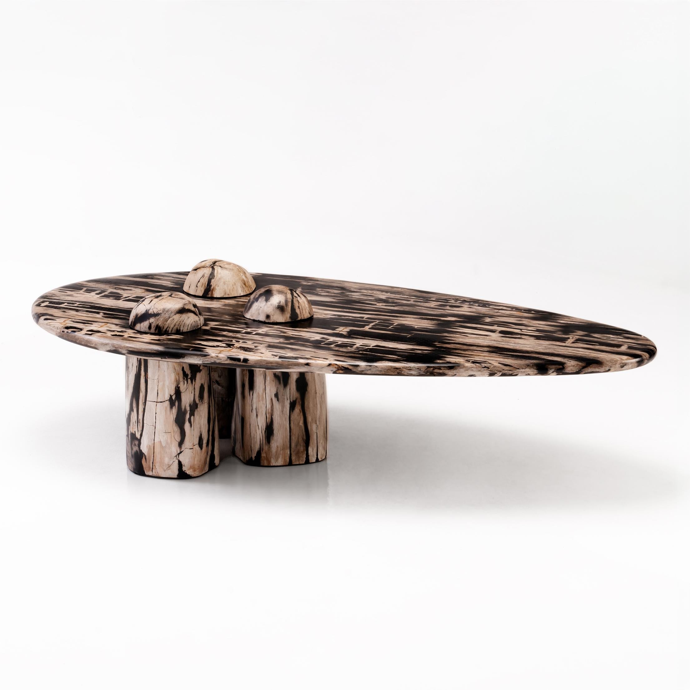https://a.1stdibscdn.com/rocky-montage-sculptural-petrified-wood-coffee-table-by-odditi-for-sale-picture-2/f_90082/f_352854821689830551181/Rocky_Montage_Table_1b_master.jpg