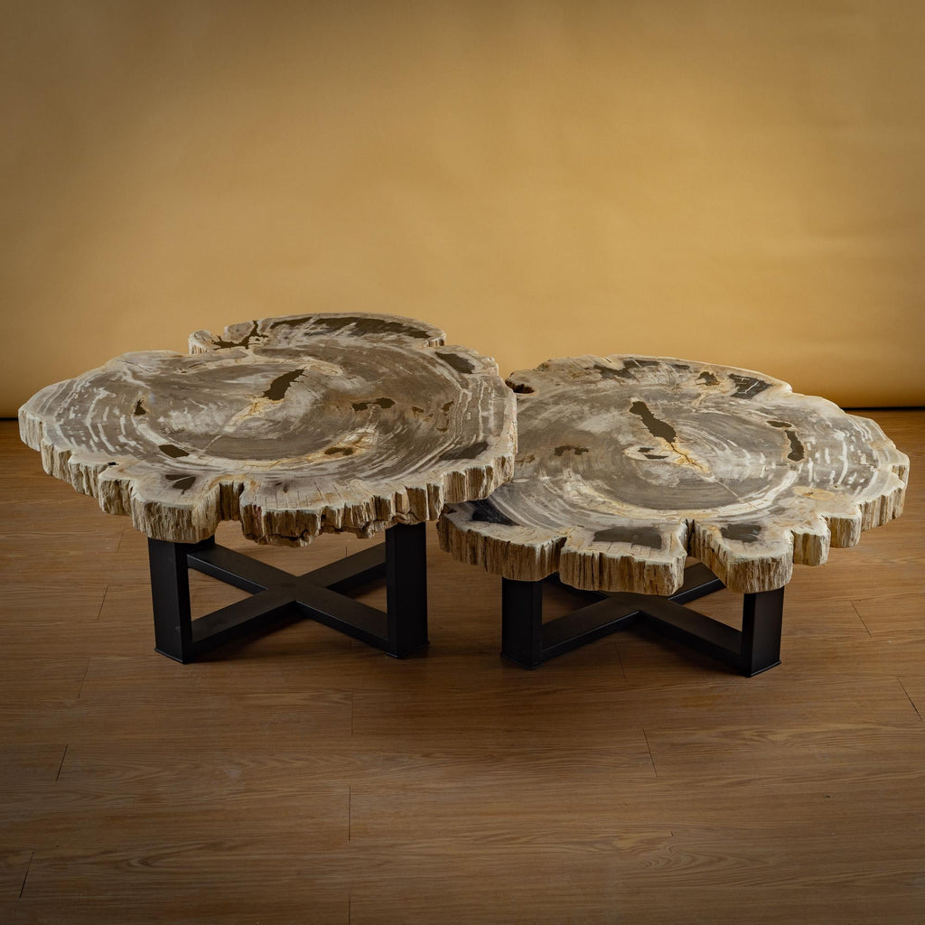 https://a.1stdibscdn.com/pair-of-authentic-miocene-petrified-wood-coffee-tables-with-black-metal-base-for-sale-picture-2/f_25203/f_480070121765827174768/SBTP_427_25_y_SBTP_423_25_Laja_redonda_de_madera_petrificada_1_master.jpg