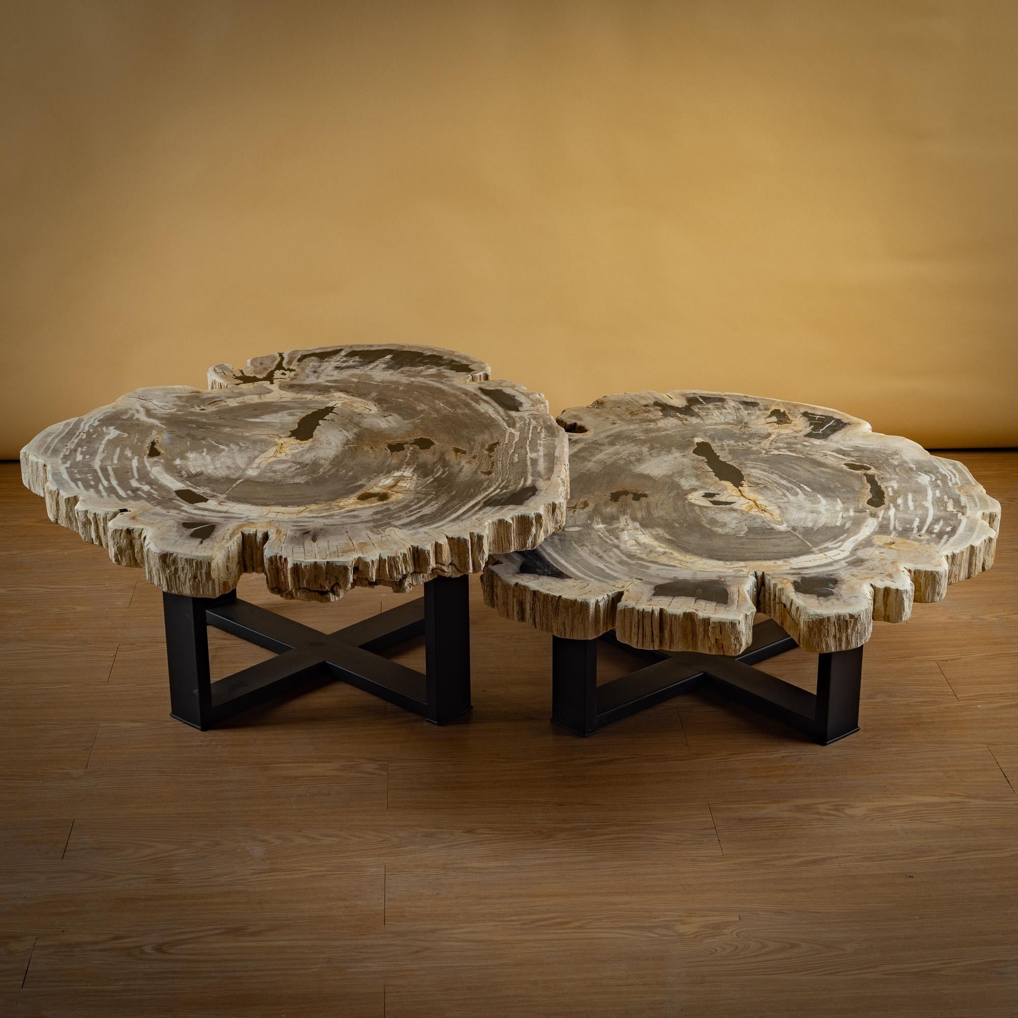 https://a.1stdibscdn.com/pair-of-authentic-miocene-petrified-wood-coffee-tables-with-black-metal-base-for-sale-picture-2/f_25203/f_480070121765827174768/SBTP_427_25_y_SBTP_423_25_Laja_redonda_de_madera_petrificada_1_master.jpg