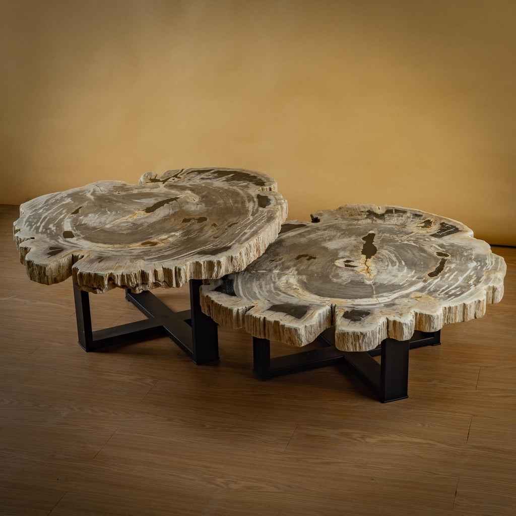 https://a.1stdibscdn.com/pair-of-authentic-miocene-petrified-wood-coffee-tables-with-black-metal-base-for-sale-picture-3/f_25203/f_480070121765827175297/SBTP_427_25_y_SBTP_423_25_Laja_redonda_de_madera_petrificada_2_master.jpg