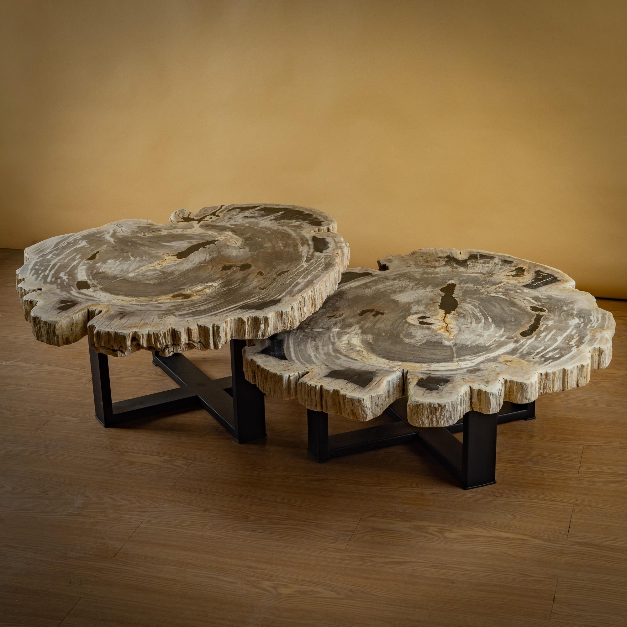 https://a.1stdibscdn.com/pair-of-authentic-miocene-petrified-wood-coffee-tables-with-black-metal-base-for-sale-picture-3/f_25203/f_480070121765827175297/SBTP_427_25_y_SBTP_423_25_Laja_redonda_de_madera_petrificada_2_master.jpg