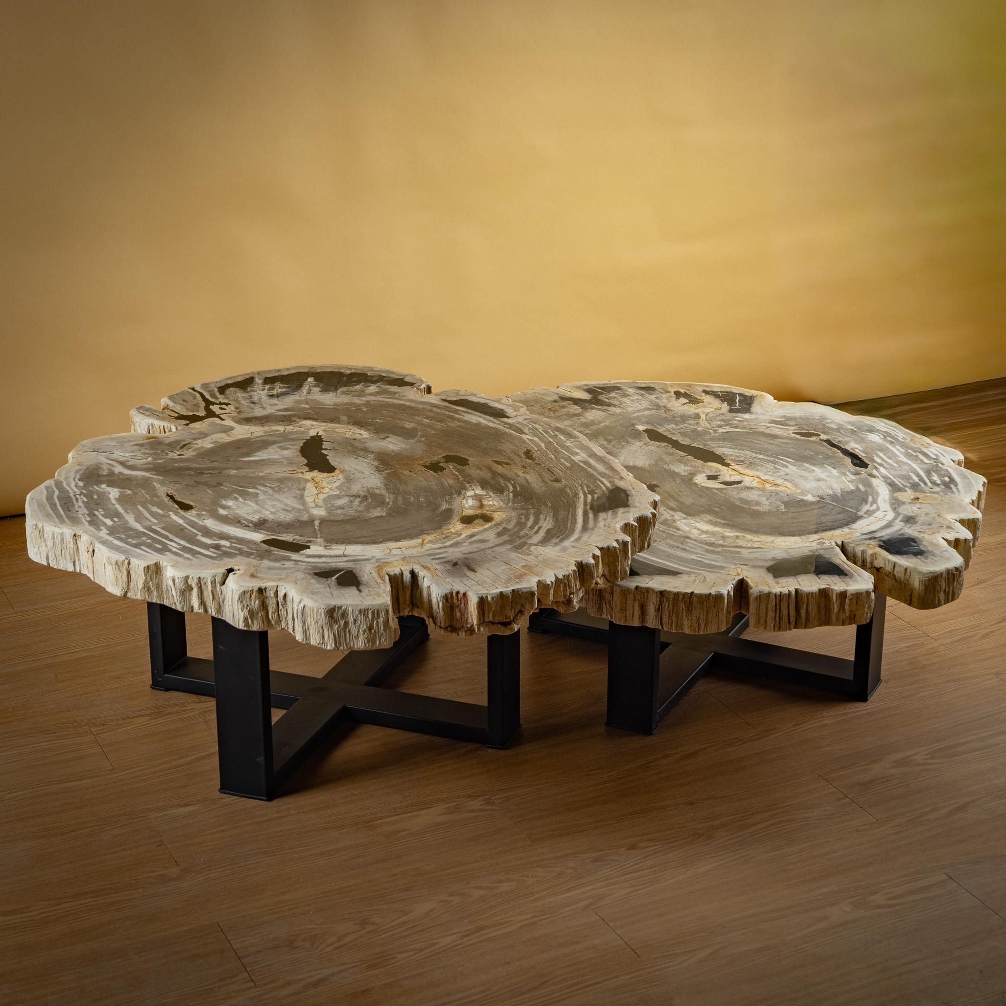 https://a.1stdibscdn.com/pair-of-authentic-miocene-petrified-wood-coffee-tables-with-black-metal-base-for-sale-picture-4/f_25203/f_480070121765827175199/SBTP_427_25_y_SBTP_423_25_Laja_redonda_de_madera_petrificada_3_master.jpg