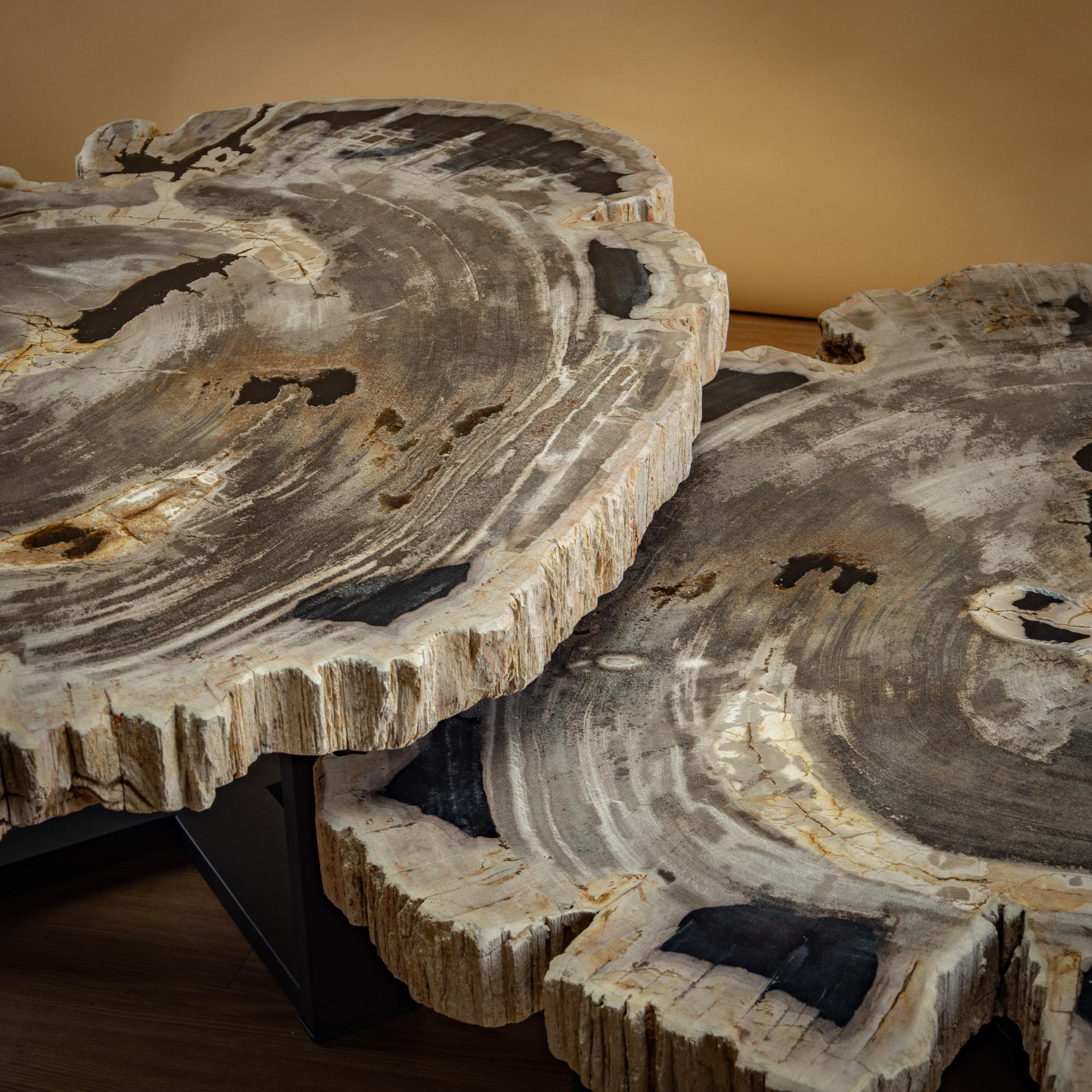 https://a.1stdibscdn.com/pair-of-authentic-miocene-petrified-wood-coffee-tables-with-black-metal-base-for-sale-picture-5/f_25203/f_480070121765827175402/SBTP_427_25_y_SBTP_423_25_Laja_redonda_de_madera_petrificada_4_master.jpg