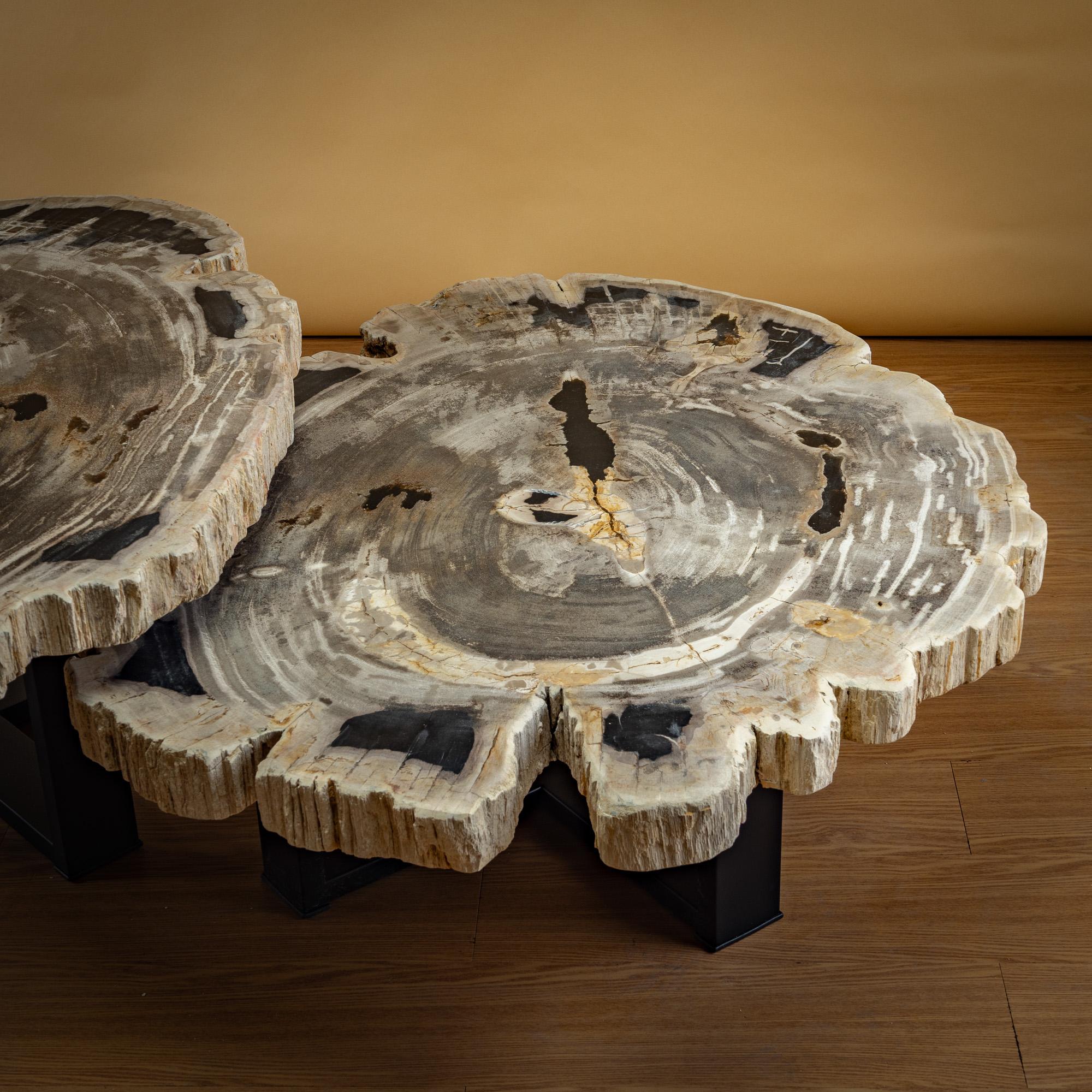 https://a.1stdibscdn.com/pair-of-authentic-miocene-petrified-wood-coffee-tables-with-black-metal-base-for-sale-picture-6/f_25203/f_480070121765827175346/SBTP_427_25_y_SBTP_423_25_Laja_redonda_de_madera_petrificada_5_master.jpg