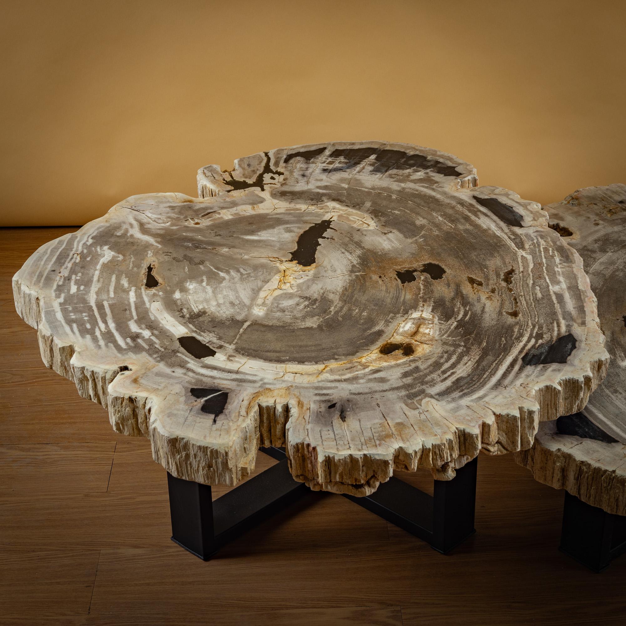 https://a.1stdibscdn.com/pair-of-authentic-miocene-petrified-wood-coffee-tables-with-black-metal-base-for-sale-picture-7/f_25203/f_480070121765827175367/SBTP_427_25_y_SBTP_423_25_Laja_redonda_de_madera_petrificada_6_master.jpg