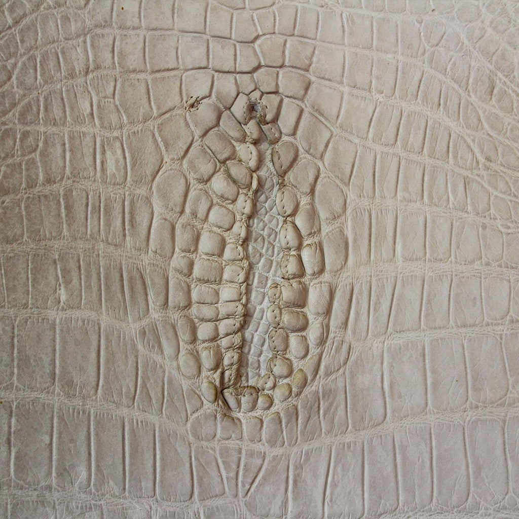 https://a.1stdibscdn.com/white-alligator-throne-with-natural-moose-antler-for-sale-picture-12/f_14282/1553788864207/Sans_titre_11_master.jpg