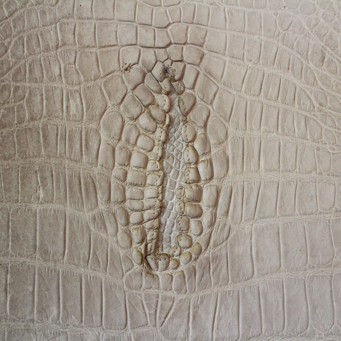 https://a.1stdibscdn.com/white-alligator-throne-with-natural-moose-antler-for-sale-picture-12/f_14282/1553788864207/Sans_titre_11_master.jpg