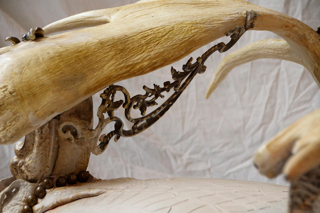 https://a.1stdibscdn.com/white-alligator-throne-with-natural-moose-antler-for-sale-picture-15/f_14282/1553788869026/Sans_titre_14_master.jpg