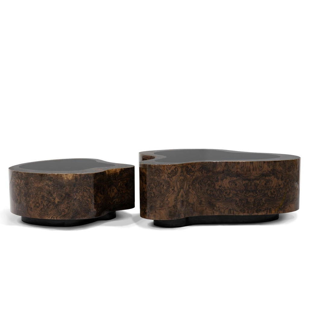 https://a.1stdibscdn.com/dalia-walnut-set-of-2-coffee-table-for-sale-picture-2/f_14282/f_439375221744219495848/Sans_titre_2_master.jpg