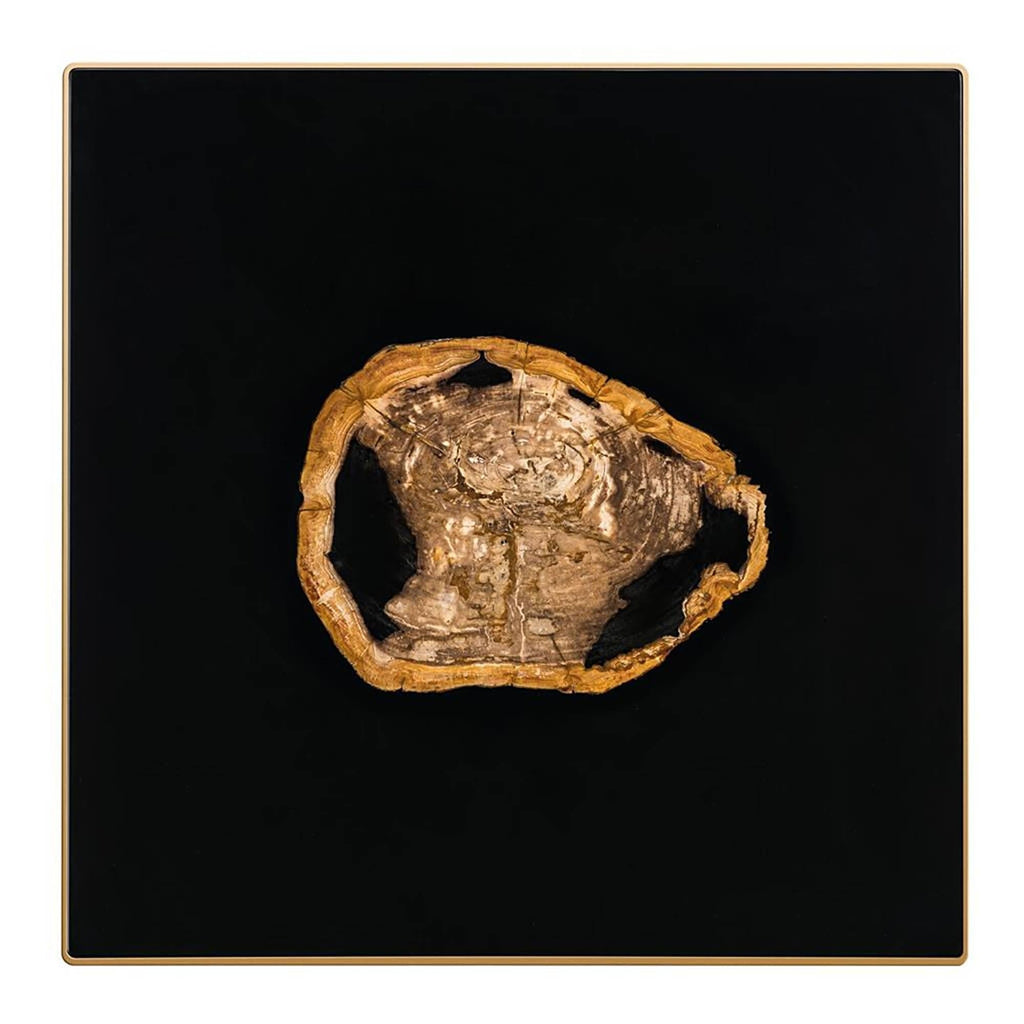 https://a.1stdibscdn.com/golded-petrified-wood-coffee-table-for-sale-picture-3/f_14282/f_449394821746786058372/Sans_titre_3_master.jpg
