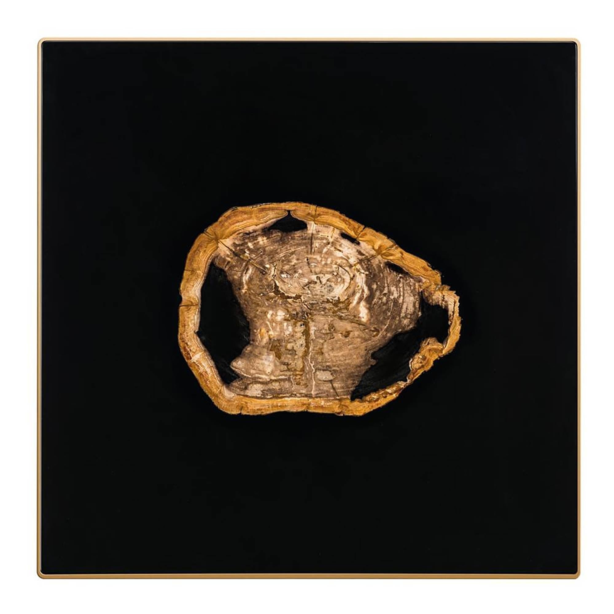 https://a.1stdibscdn.com/golded-petrified-wood-coffee-table-for-sale-picture-3/f_14282/f_449394821746786058372/Sans_titre_3_master.jpg