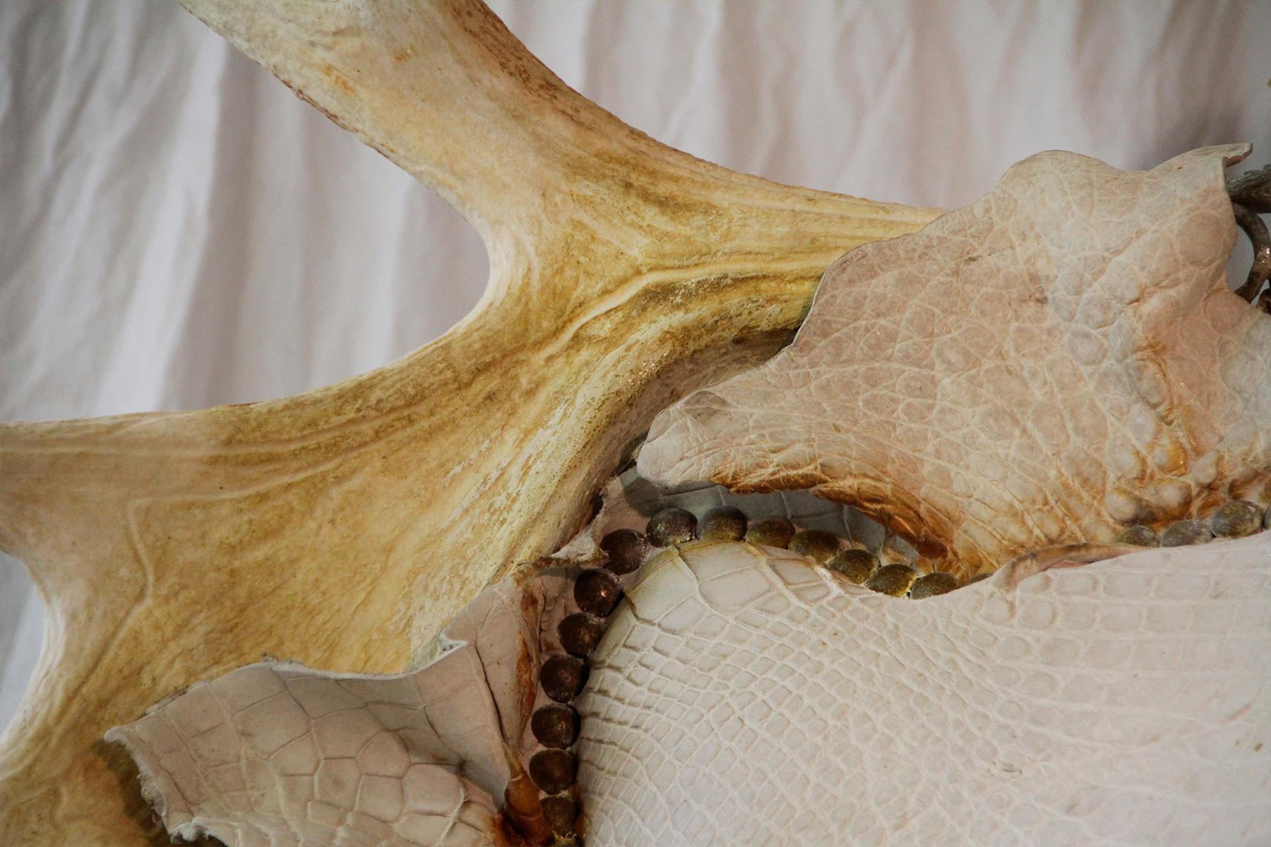 https://a.1stdibscdn.com/white-alligator-throne-with-natural-moose-antler-for-sale-picture-5/f_14282/1553788860427/Sans_titre_4_master.jpg