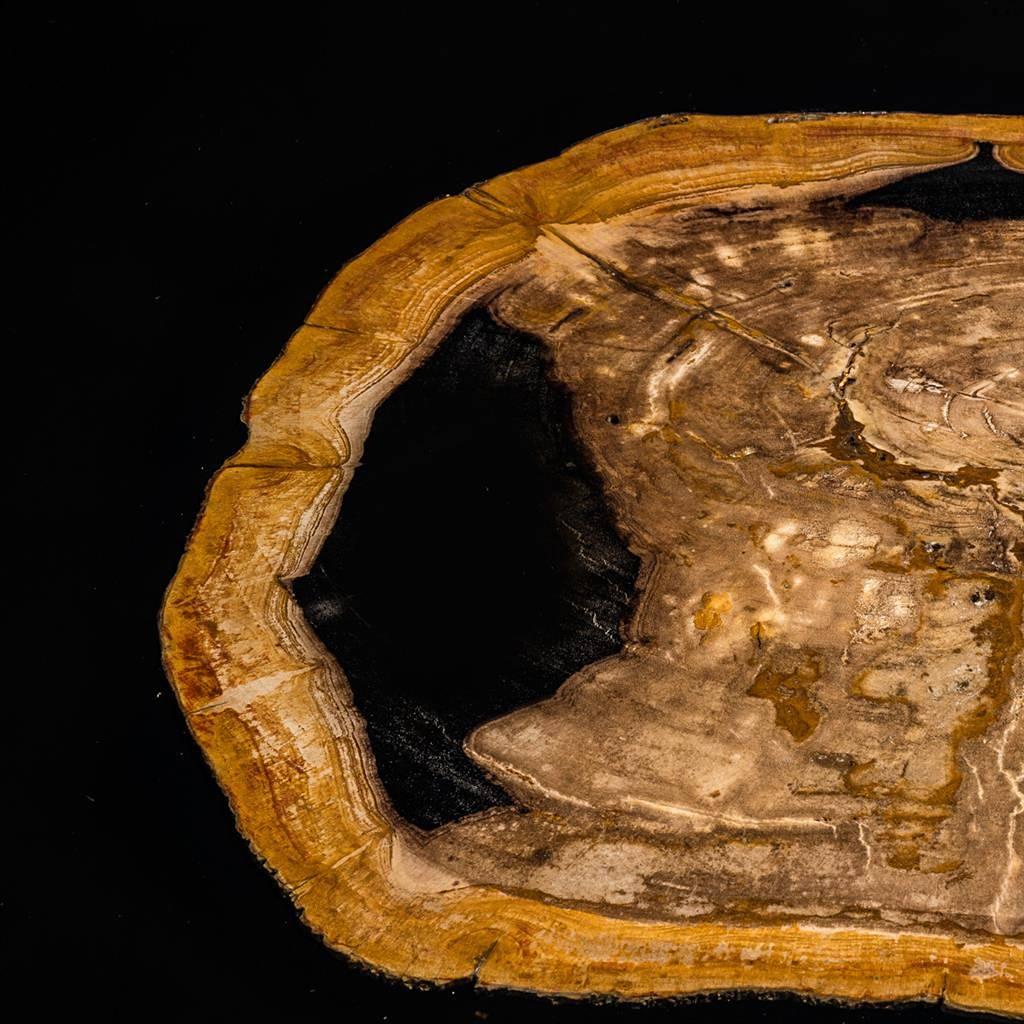 https://a.1stdibscdn.com/golded-petrified-wood-coffee-table-for-sale-picture-5/f_14282/f_449394821746786059487/Sans_titre_4_master.jpg