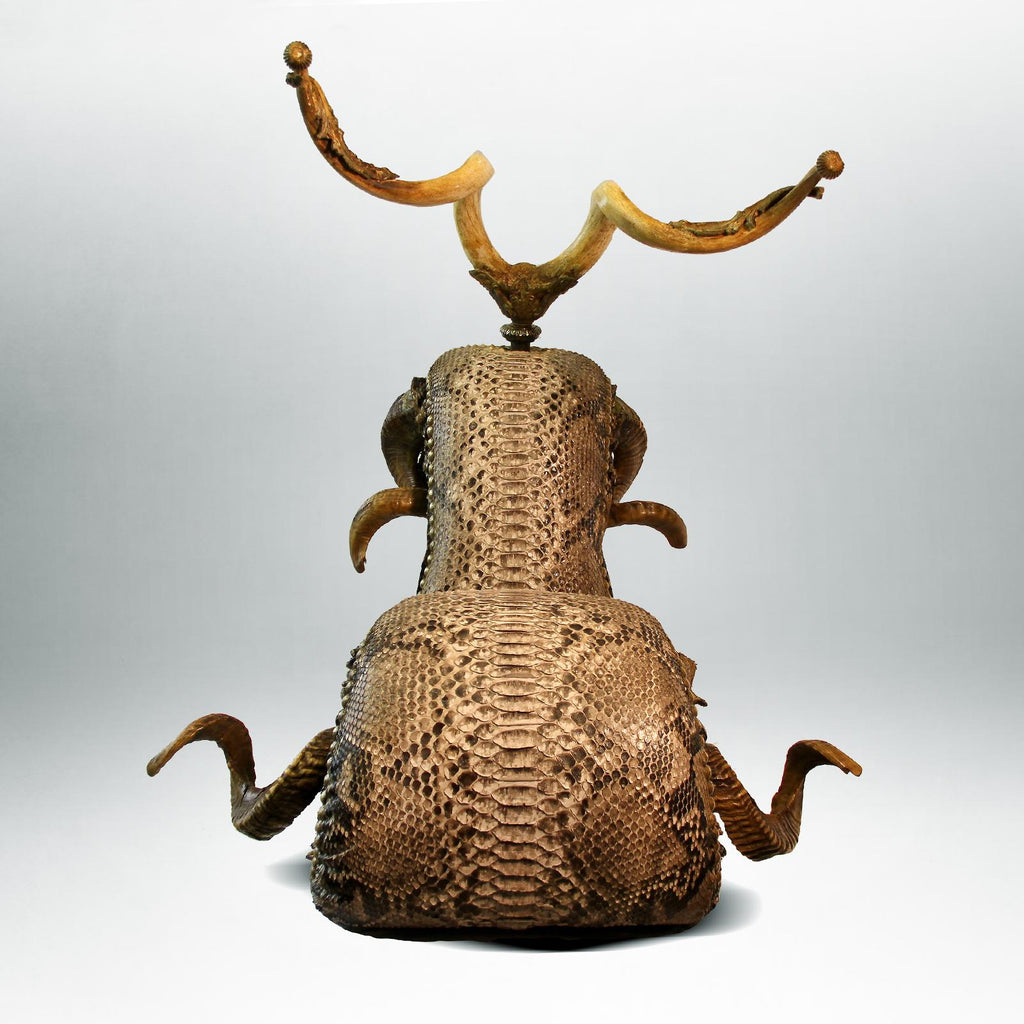 https://a.1stdibscdn.com/python-medium-chair-with-polished-kudu-horns-for-sale-picture-6/f_14282/1542203564441/Sans_titre_5_master.jpg