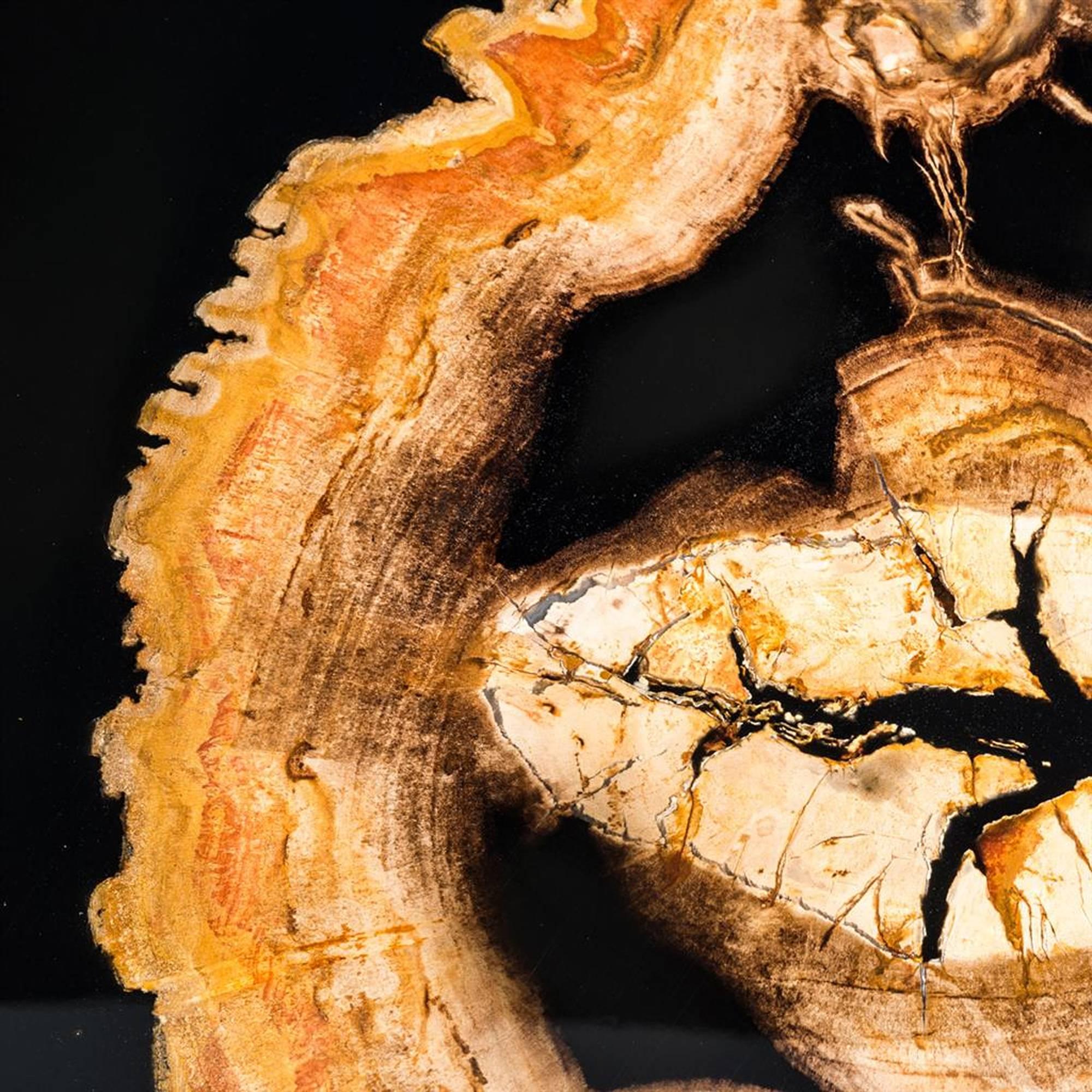 https://a.1stdibscdn.com/golded-petrified-wood-coffee-table-for-sale-picture-4/f_14282/f_449394821746786059034/Sans_titre_5_master.jpg