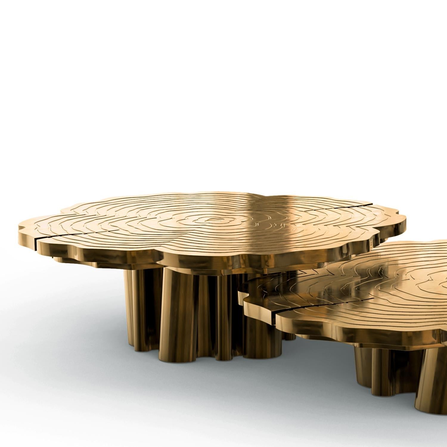 https://a.1stdibscdn.com/tresor-patinated-set-of-3-coffee-table-for-sale-picture-7/f_14282/f_430015721735918997115/Sans_titre_7_master.jpg