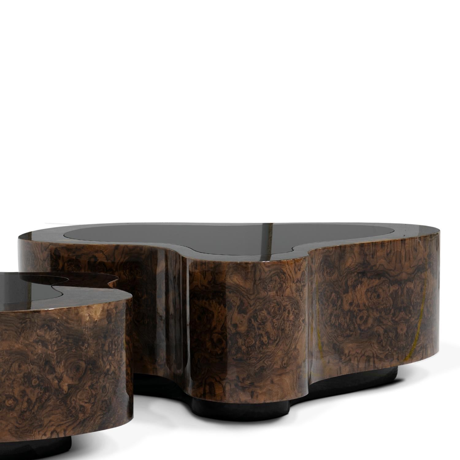 https://a.1stdibscdn.com/dalia-walnut-set-of-2-coffee-table-for-sale-picture-7/f_14282/f_439375221744219496214/Sans_titre_7_master.jpg