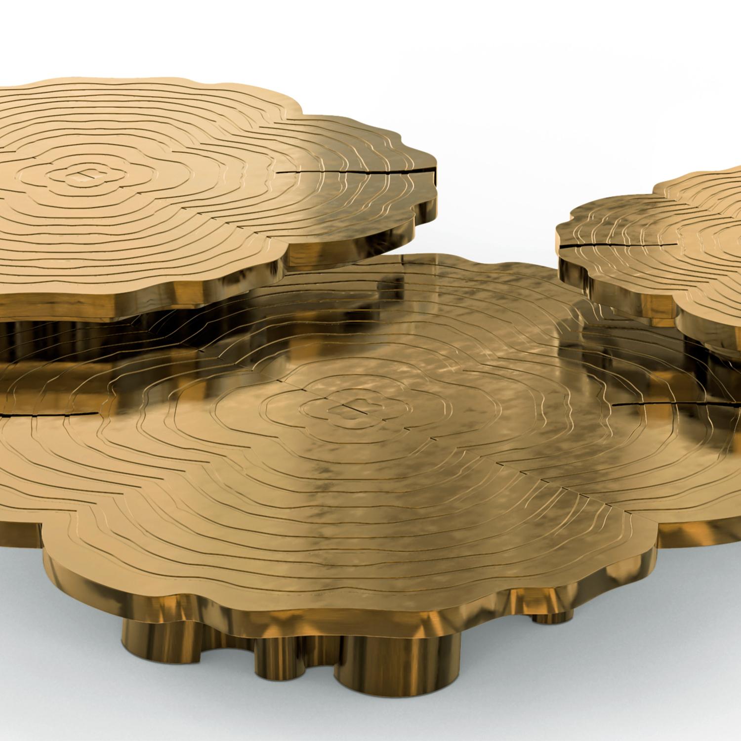 https://a.1stdibscdn.com/tresor-patinated-set-of-3-coffee-table-for-sale-picture-9/f_14282/f_430015721735918998522/Sans_titre_9_master.jpg