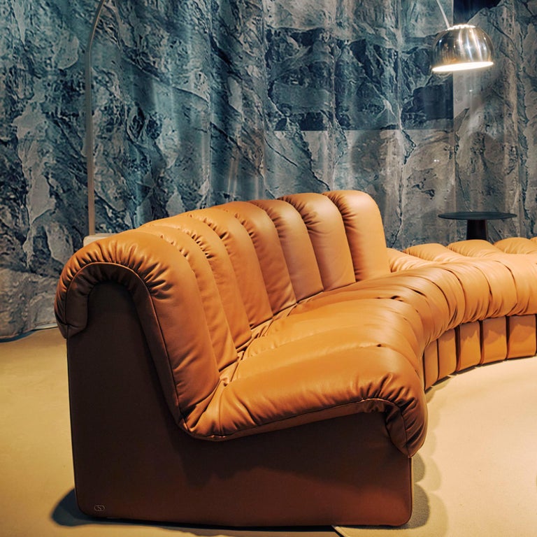 https://a.1stdibscdn.com/de-sede-ds-600-non-stop-shape-modular-sofa-in-brown-with-adjustable-elements-for-sale-picture-8/f_16392/f_324032021769092879246/SdM2023_deSede_DS_600_03_quadrat_1__master.jpg?width=768
