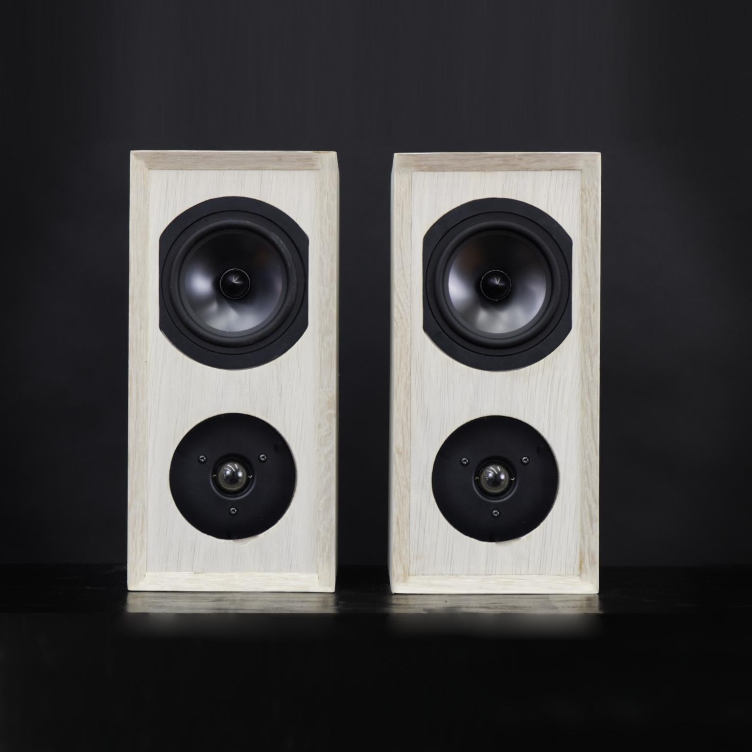 https://a.1stdibscdn.com/bleached-handmade-oak-speaker-set-with-custom-cross-overs-for-sale-picture-3/f_55692/f_221974321611546178089/Speakers2_master.jpg