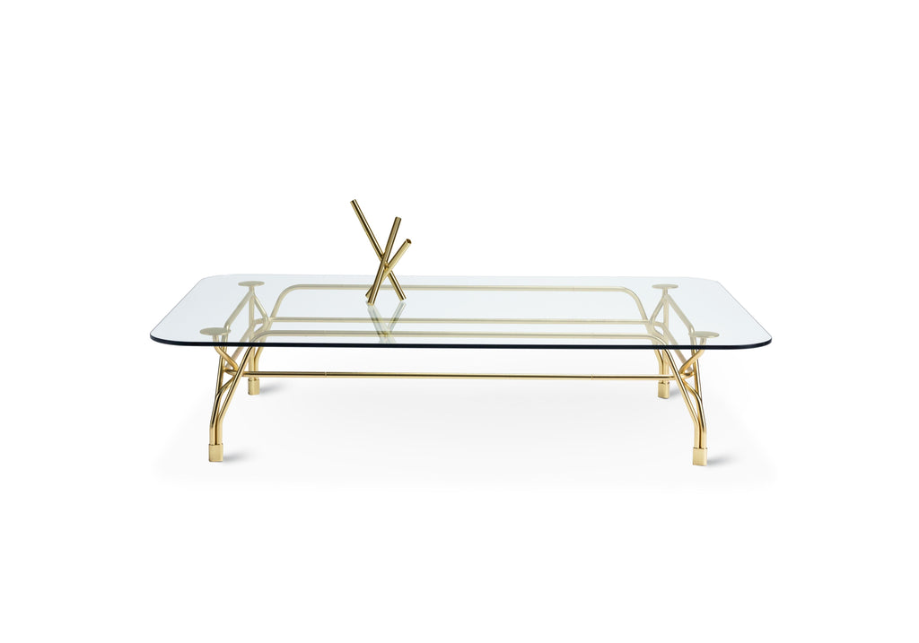 https://a.1stdibscdn.com/ghidini-1961-short-botany-rectangular-coffee-table-in-crystal-by-tomek-rygalik-for-sale-picture-4/12330573/f_137360711550659964073/TR102PC104_con_vaso_tubi_master.jpg