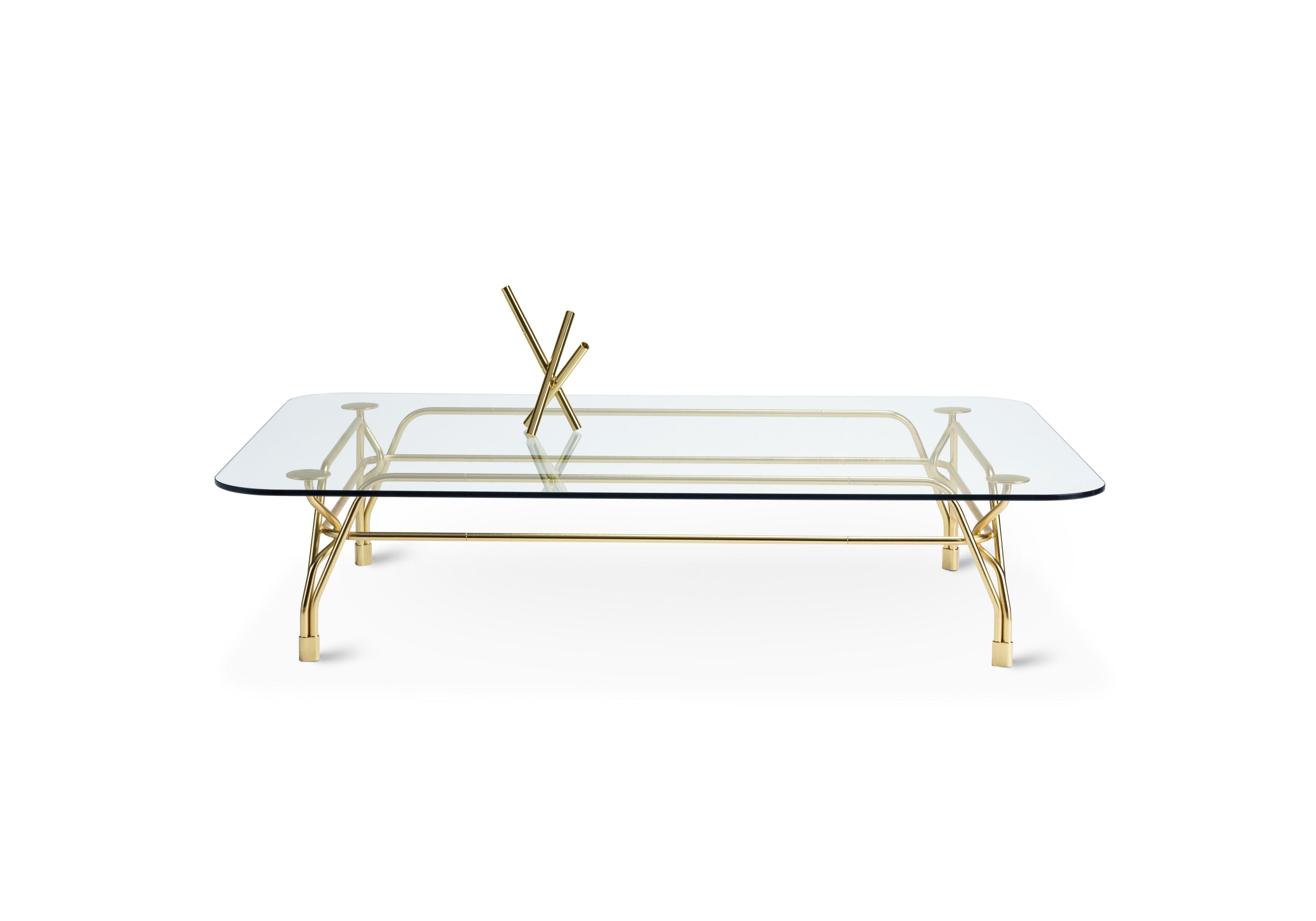 https://a.1stdibscdn.com/ghidini-1961-short-botany-rectangular-coffee-table-in-crystal-by-tomek-rygalik-for-sale-picture-4/12330573/f_137360711550659964073/TR102PC104_con_vaso_tubi_master.jpg