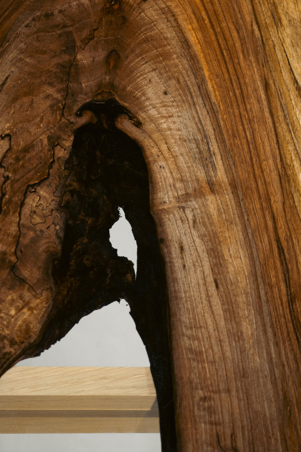 https://a.1stdibscdn.com/sillage-bois-dechire-sculptural-table-by-meubles-thouret-for-sale-picture-3/f_12192/f_490130921772215183838/Table_Ch_ne_Noyer_DSC_0096_master.jpg