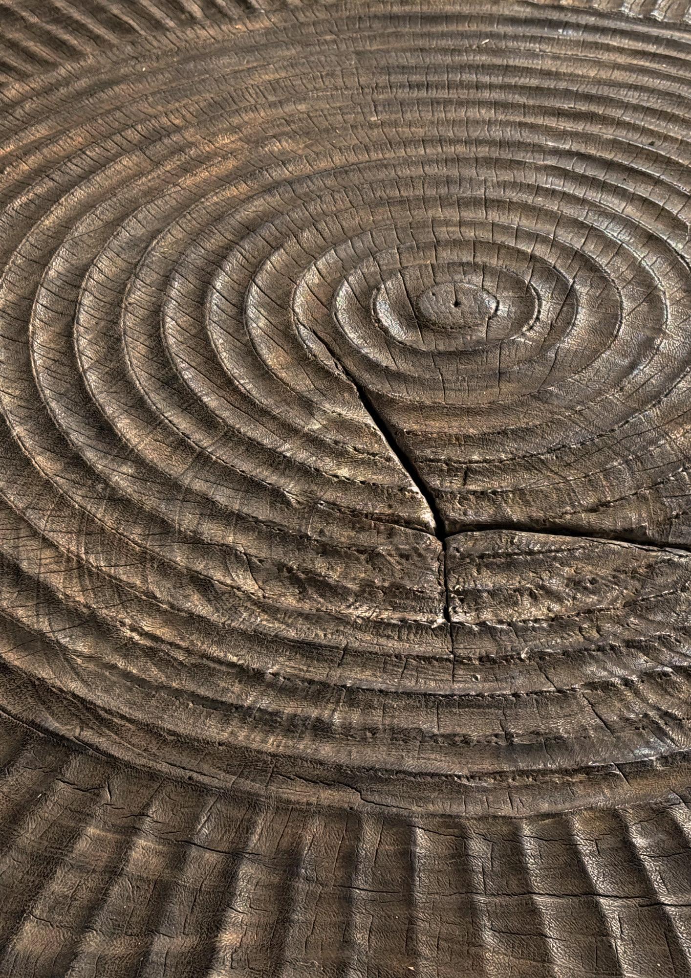 https://a.1stdibscdn.com/large-suar-wood-table-espresso-finish-hand-carved-detailing-modern-organic-for-sale-picture-11/f_58812/f_471060821760870867932/Untitled_Flyer_A4_2025_10_19T160927_040_master.jpg